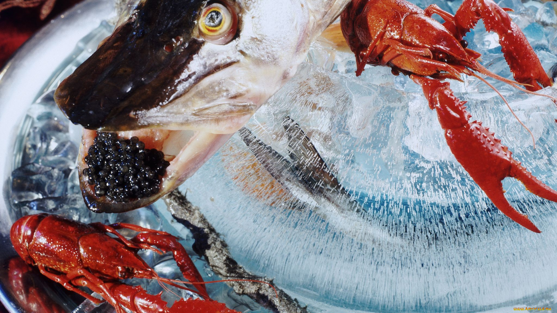 еда, рыбные, блюда, морепродуктами