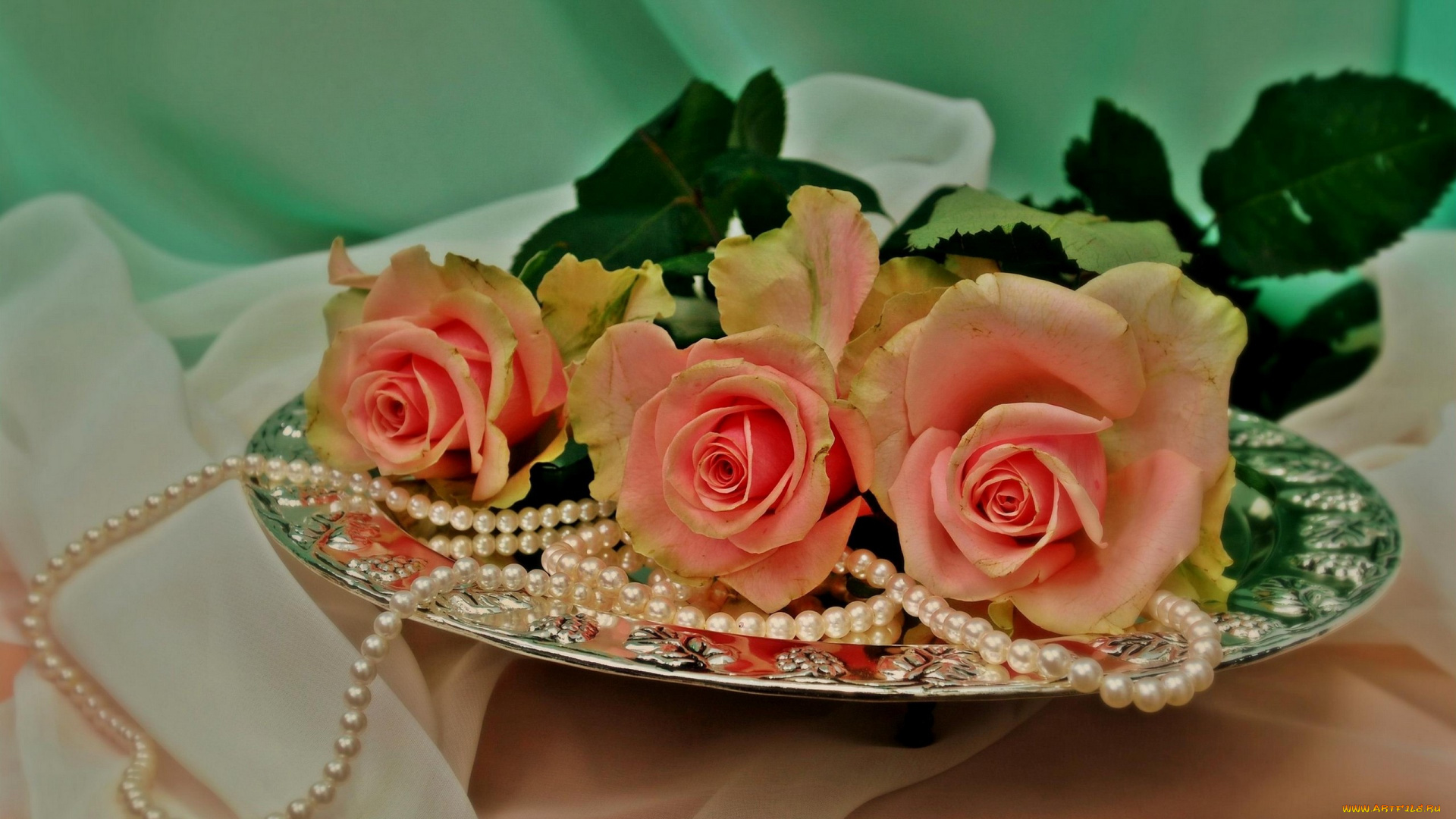 nezabudka, fn, ***, цветы, розы