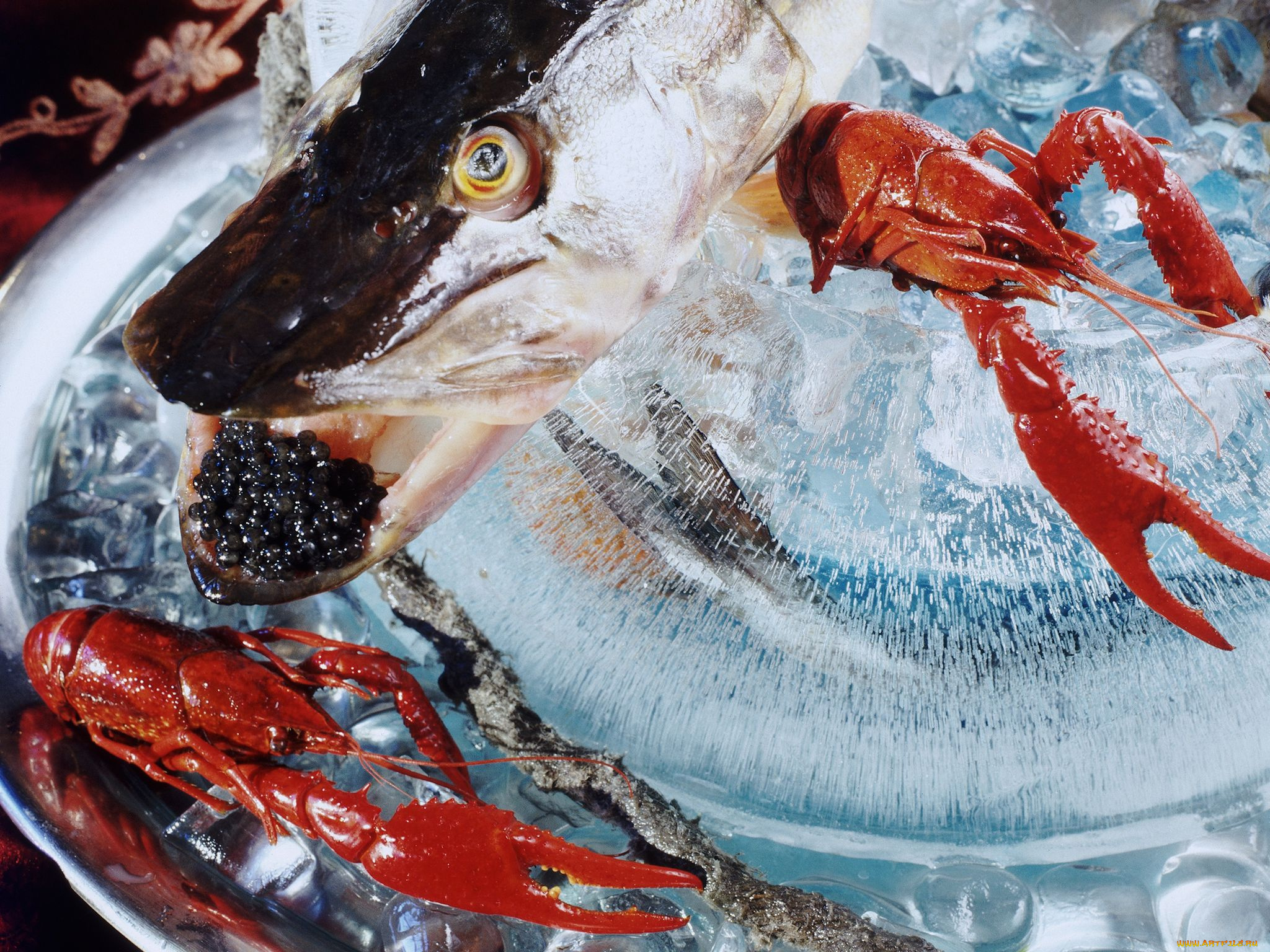 еда, рыбные, блюда, морепродуктами