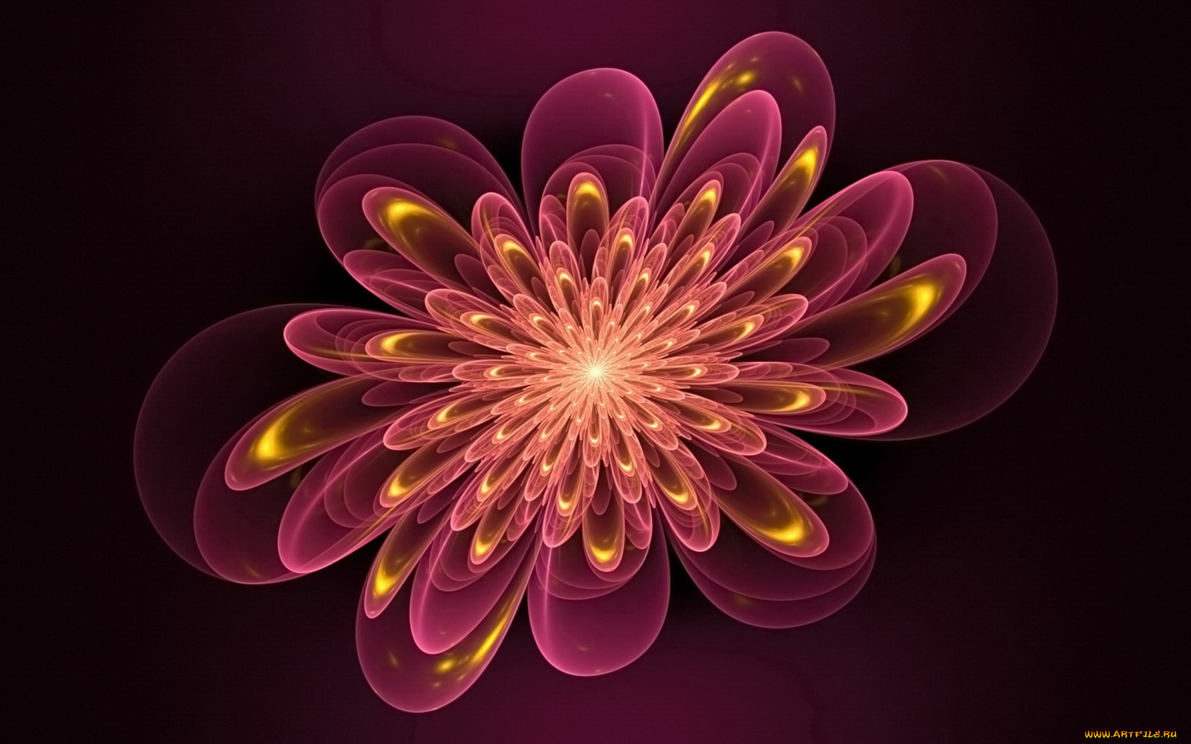 3д, графика, flowers, цветы, фон, тёмный, узор