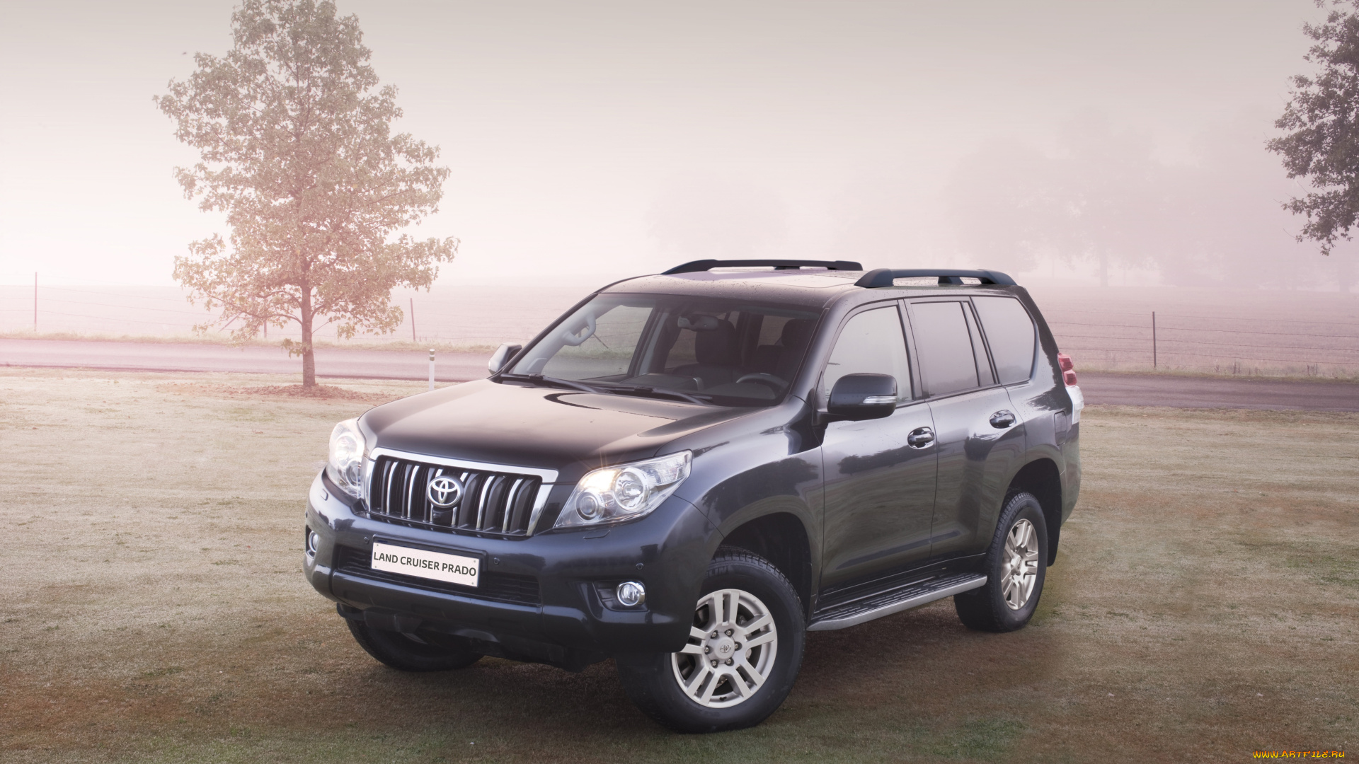 автомобили, toyota, life, prado