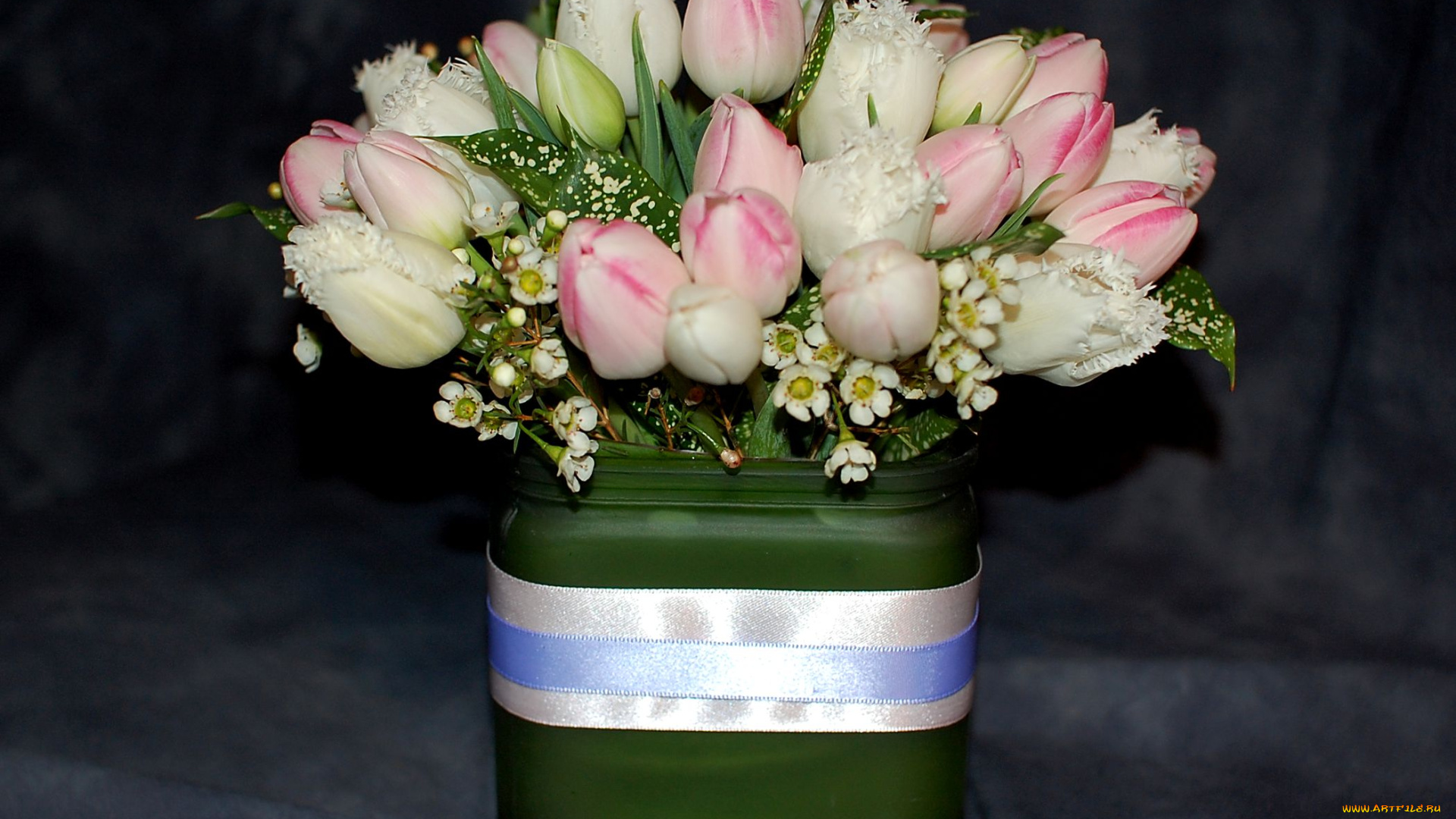 цветы, тюльпаны, лента, белый, розовый