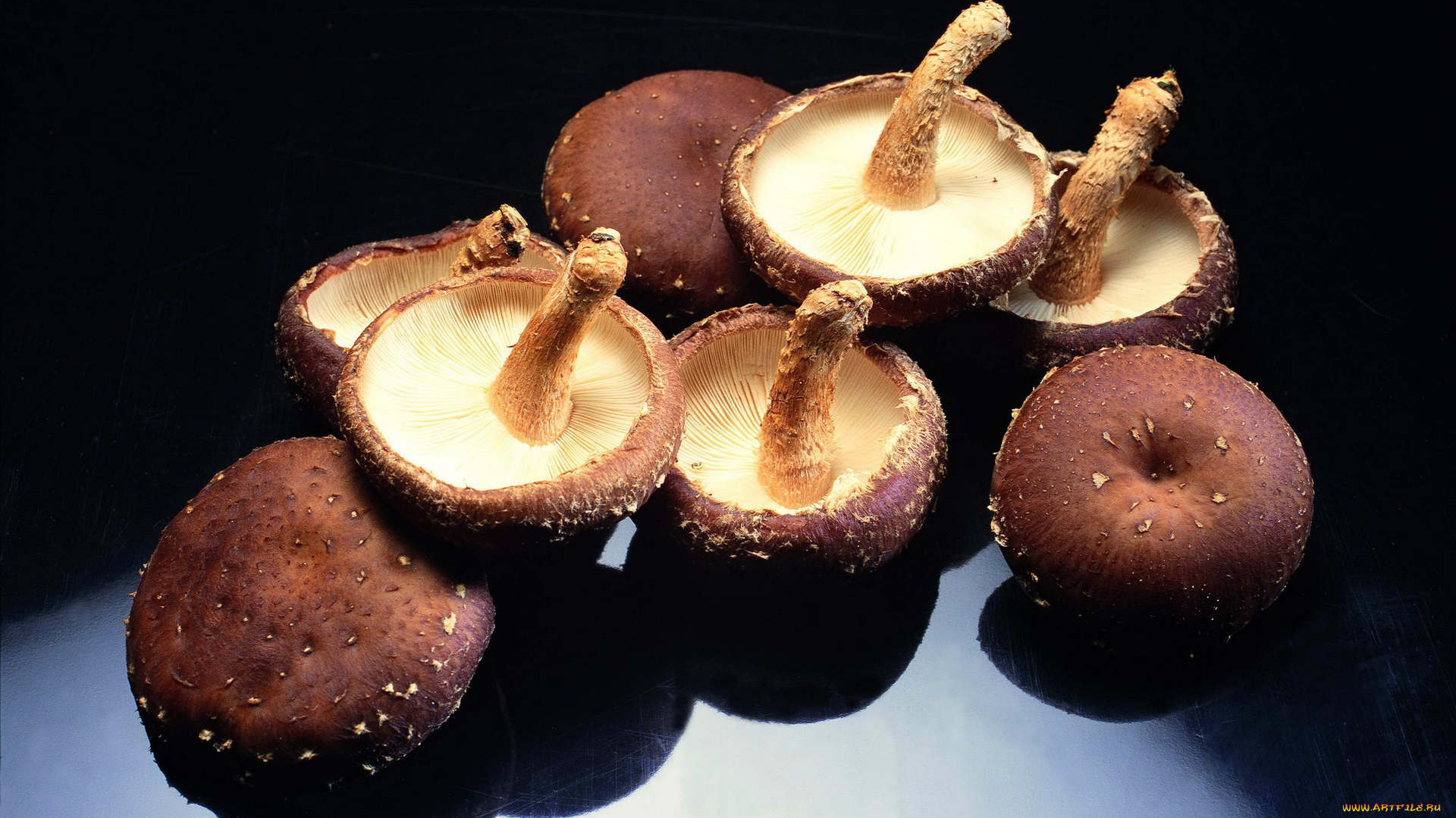 еда, грибы, грибные, блюда