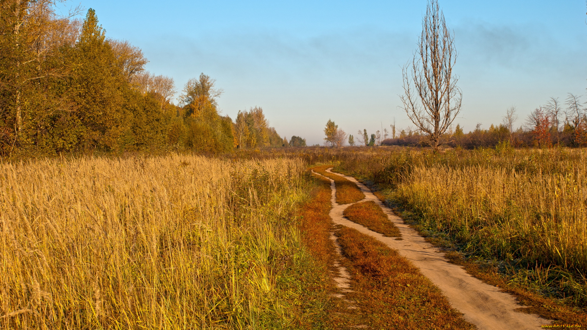 природа, дороги, деревья, трава, дорога, небо, осень