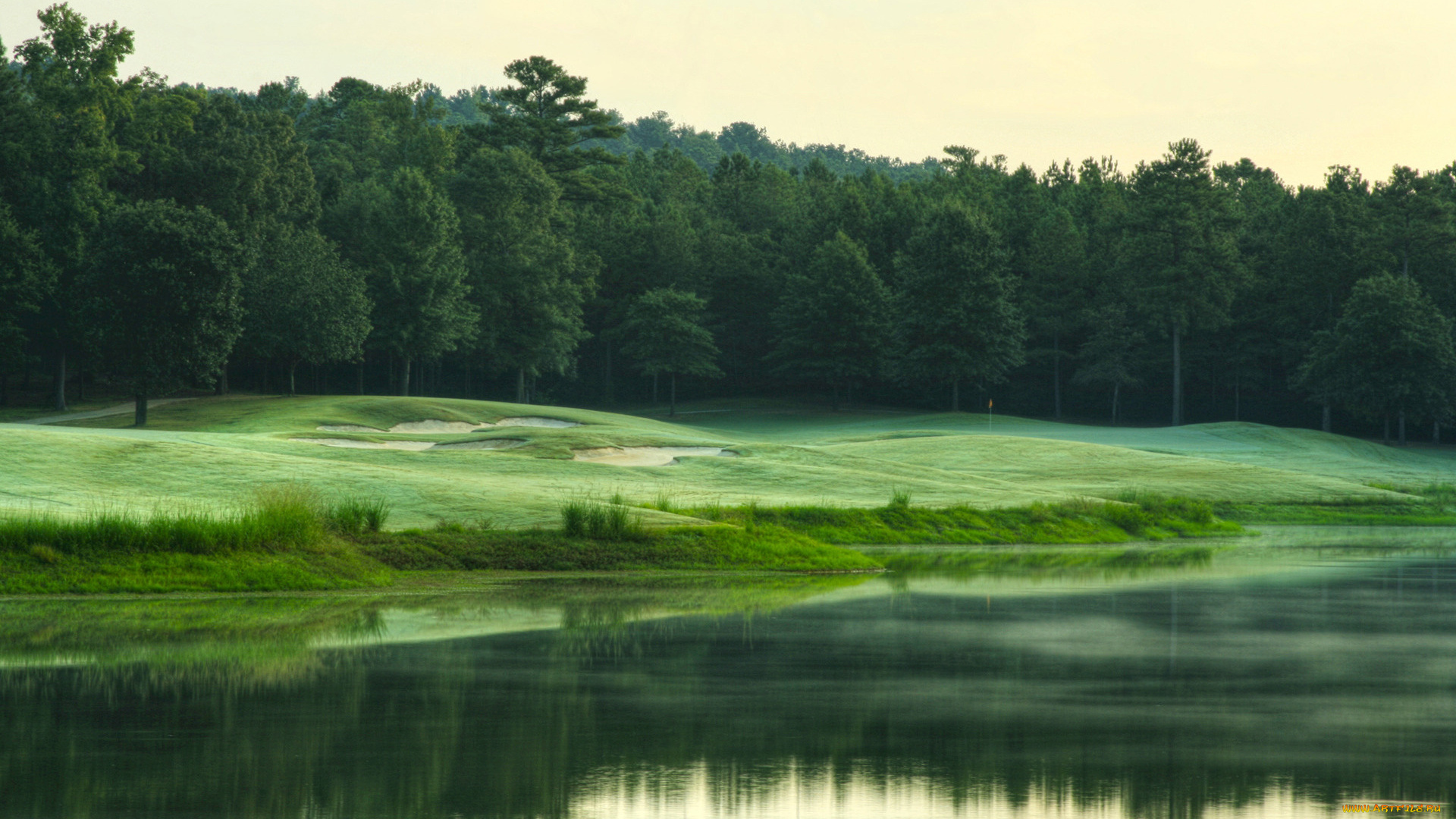 природа, реки, озера, озеро, деревья, лес, луг