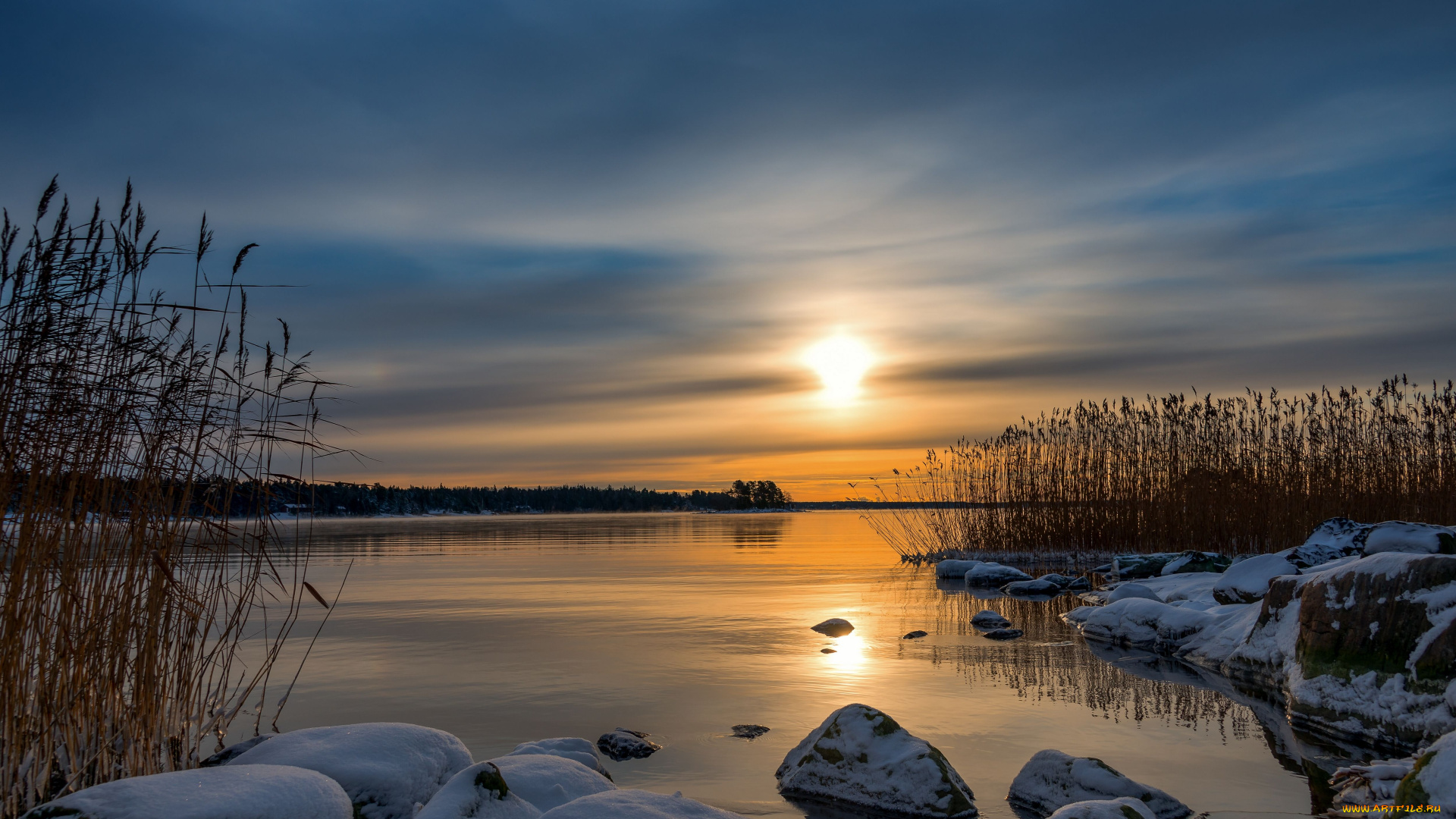 природа, восходы, закаты, закат, камыш, камни, финляндия, балтийское, море