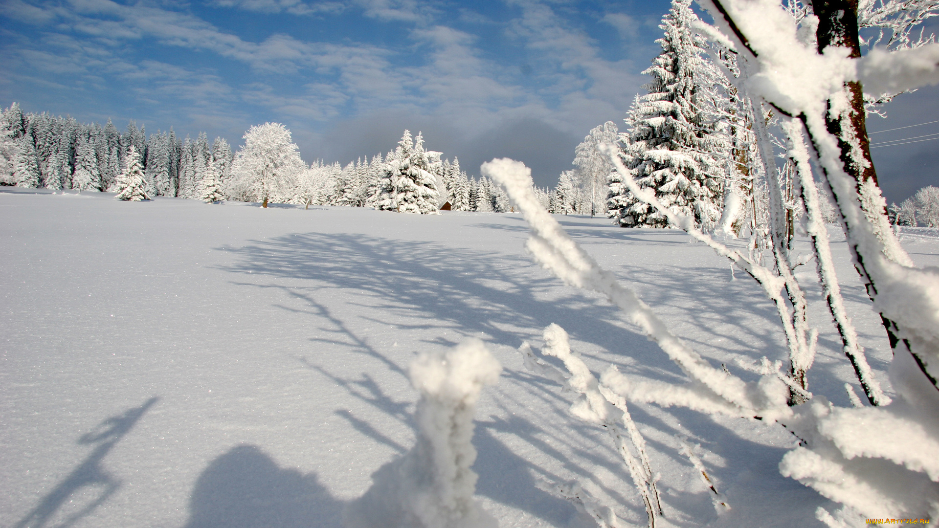 природа, зима, шумава, снег, горы, national, park, sumava, лес