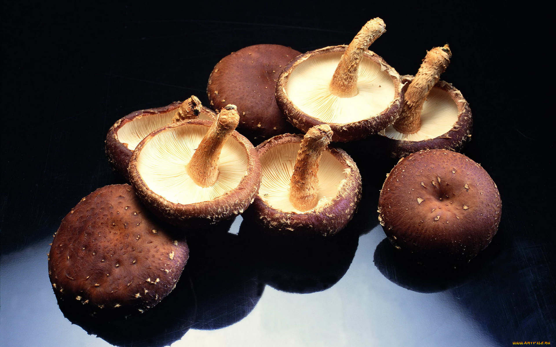 еда, грибы, грибные, блюда