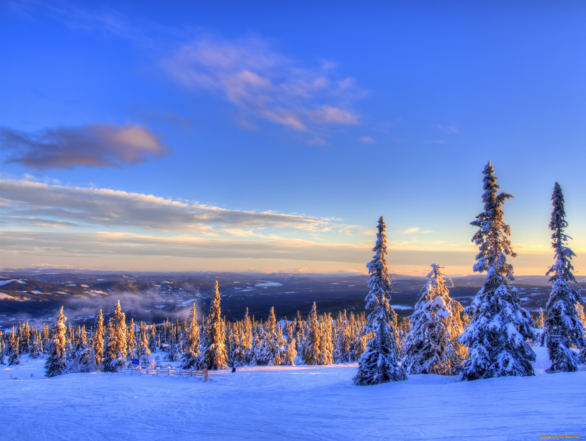 norway, природа, зима, норвегия, снег, ели