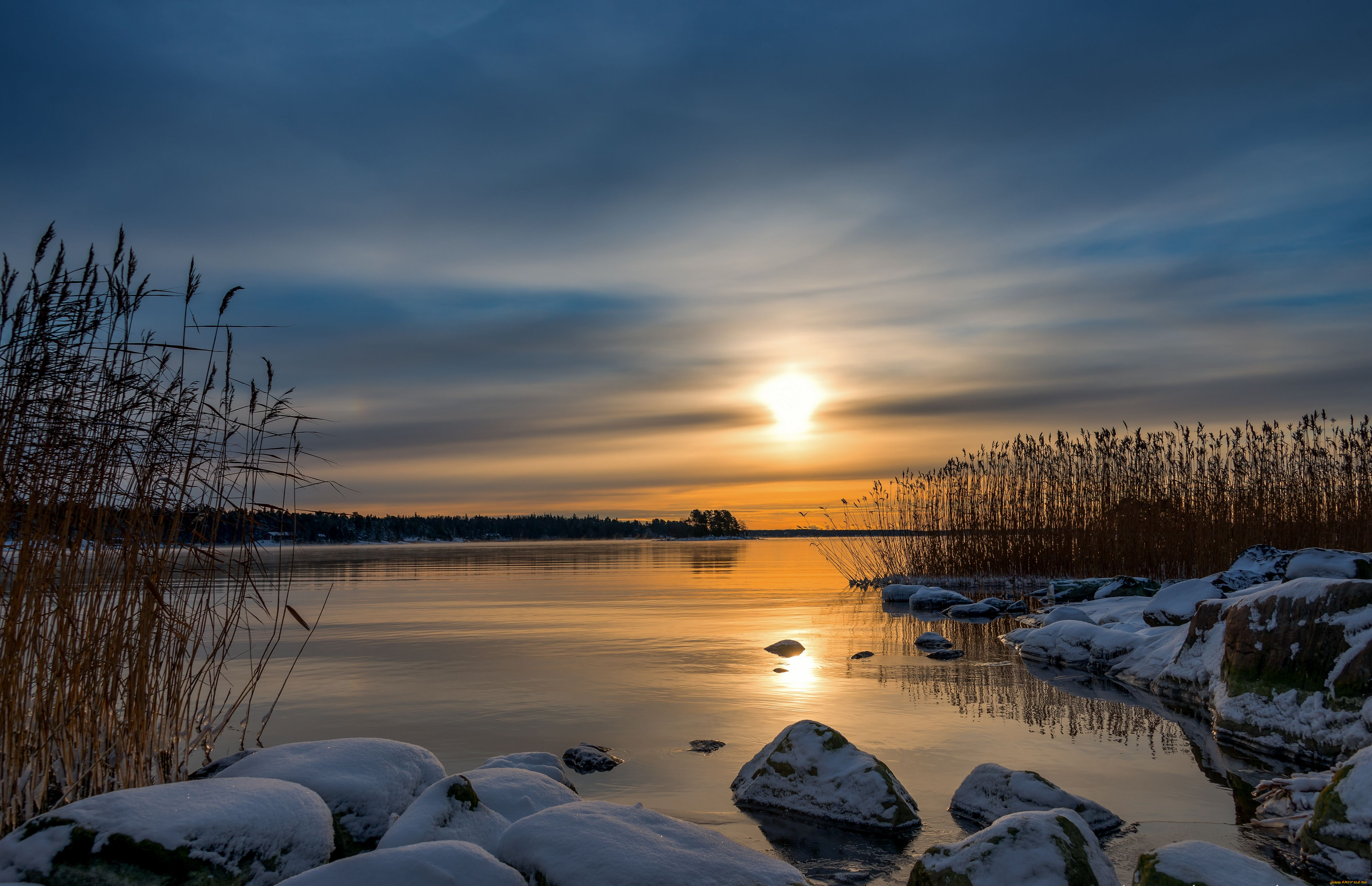 природа, восходы, закаты, закат, камыш, камни, финляндия, балтийское, море