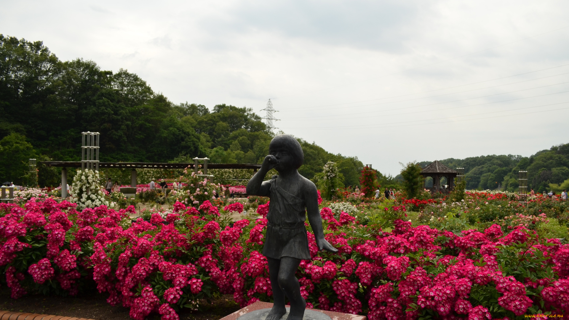 kani, , japan, города, -, памятники, , скульптуры, , арт-объекты, цветы, дудочка, мальчик, парк