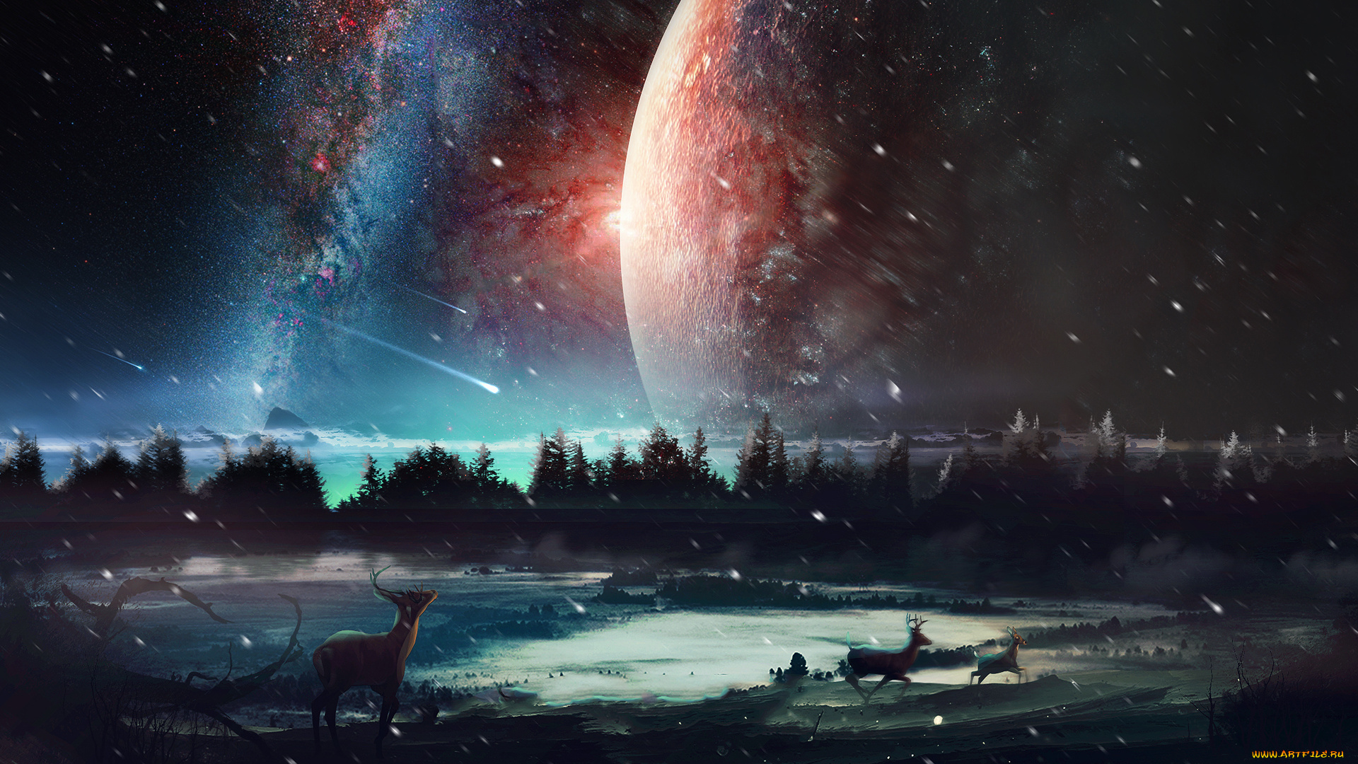 разное, компьютерный, дизайн, животные