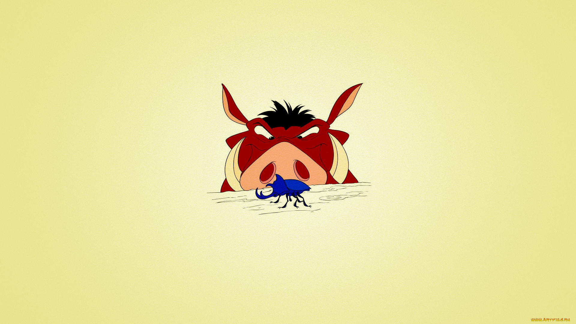 рисованные, минимализм, жук, кабан, фон