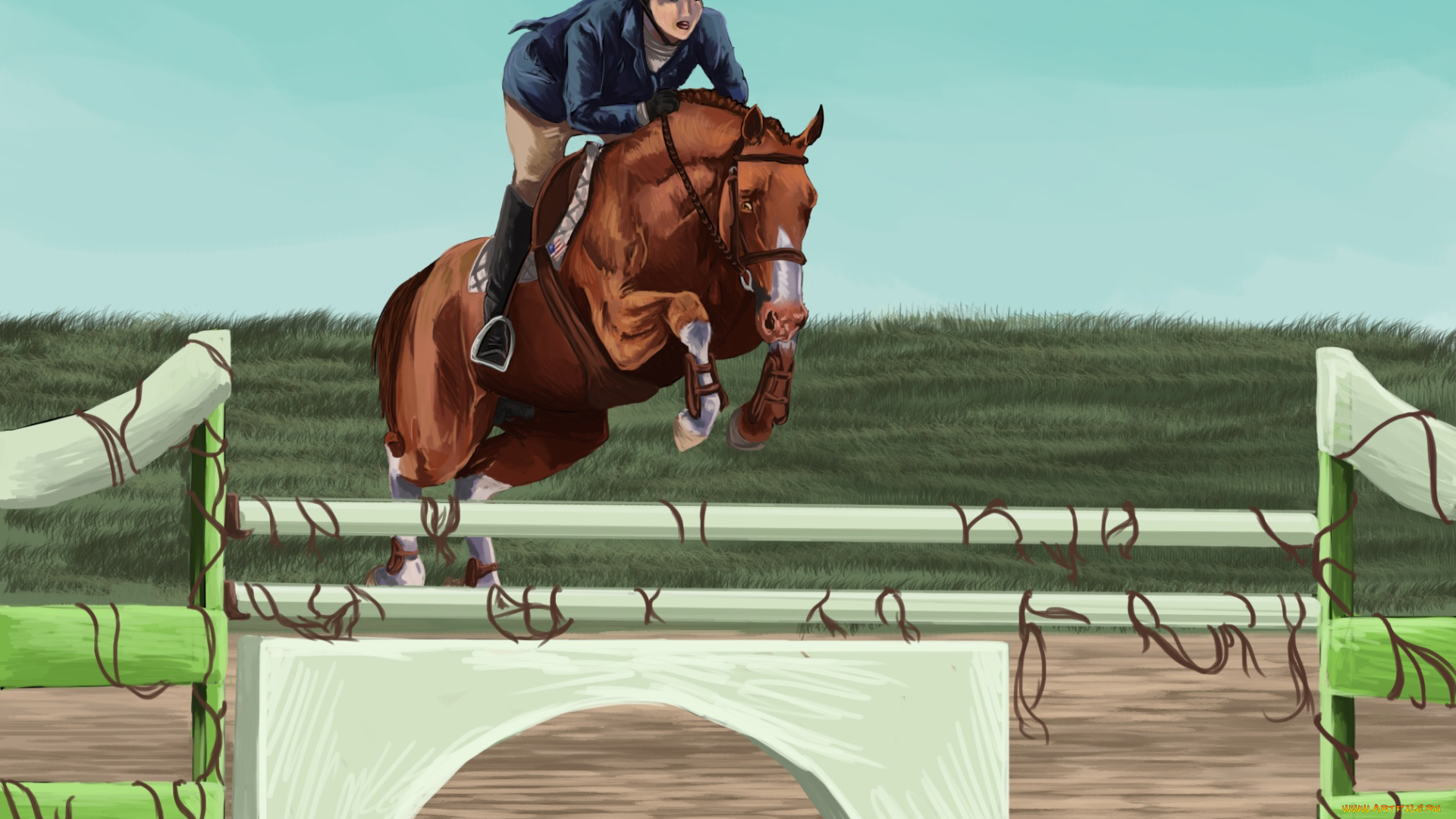 рисованные, животные, , лошади, лошадь, всадник, прыжок