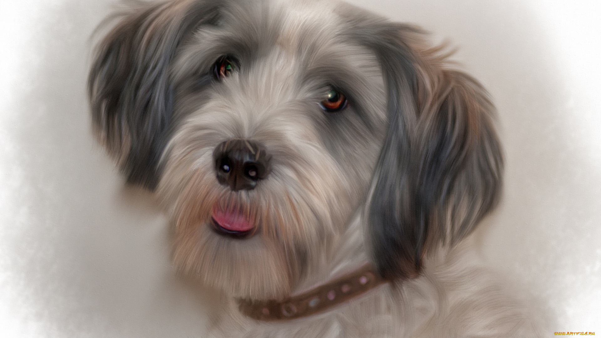 рисованные, животные, , собаки, собака, фон