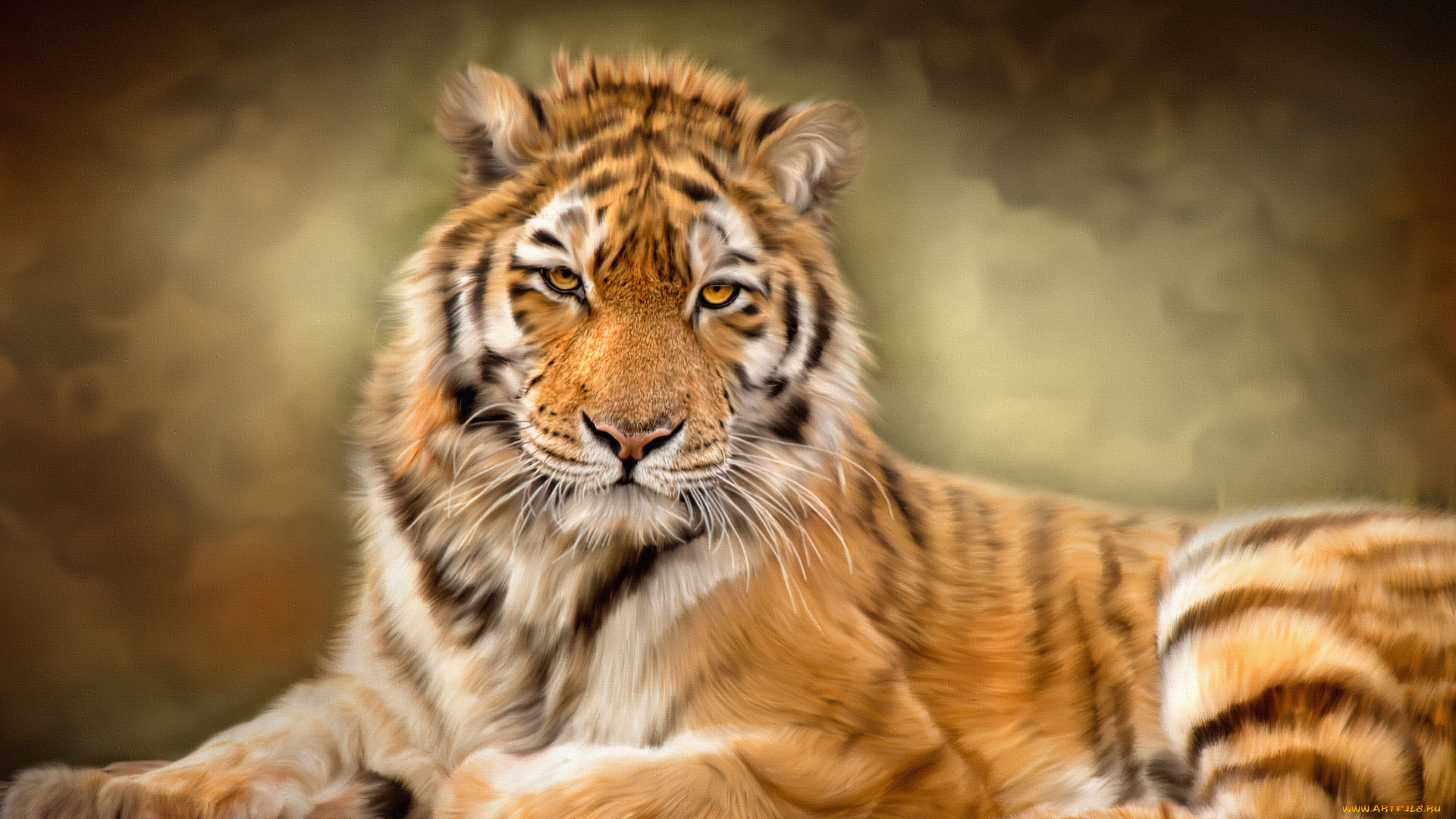 рисованные, животные, , тигры, текстура, тигр