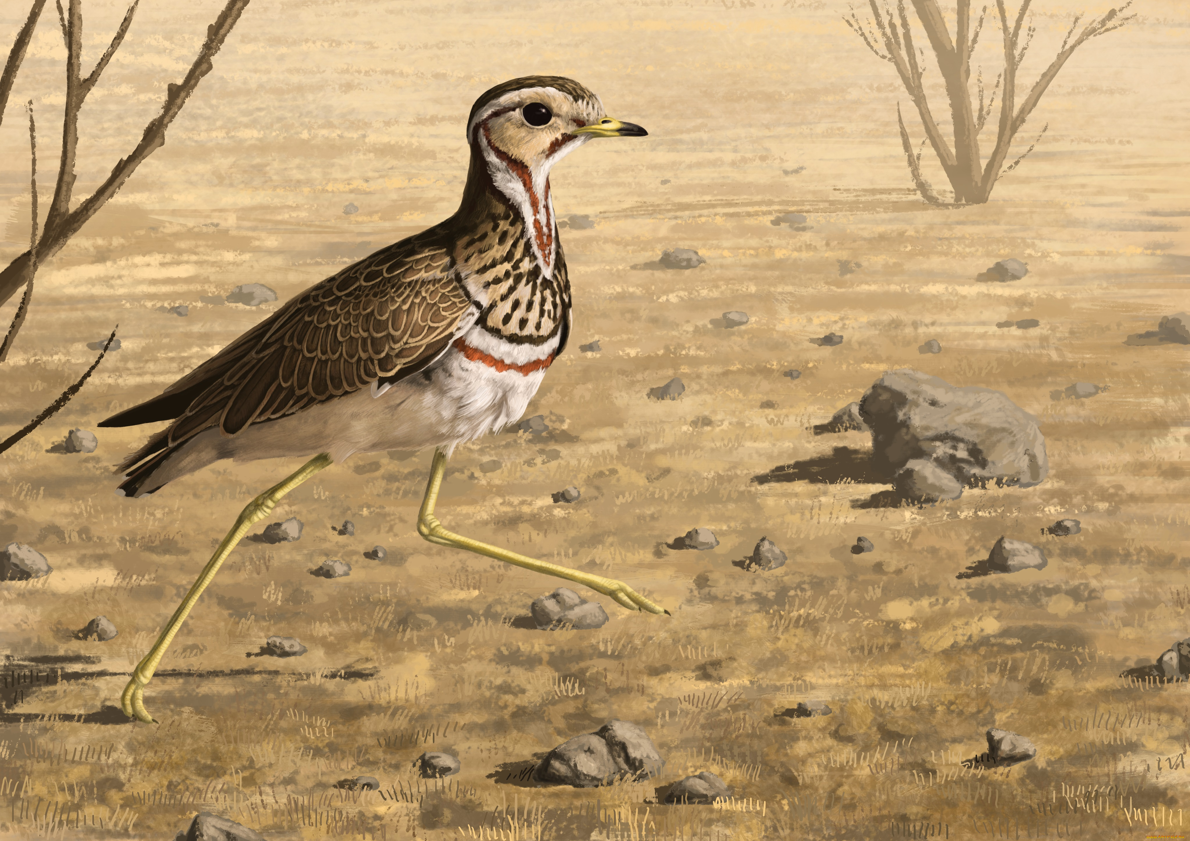 рисованные, животные, , птицы, птица