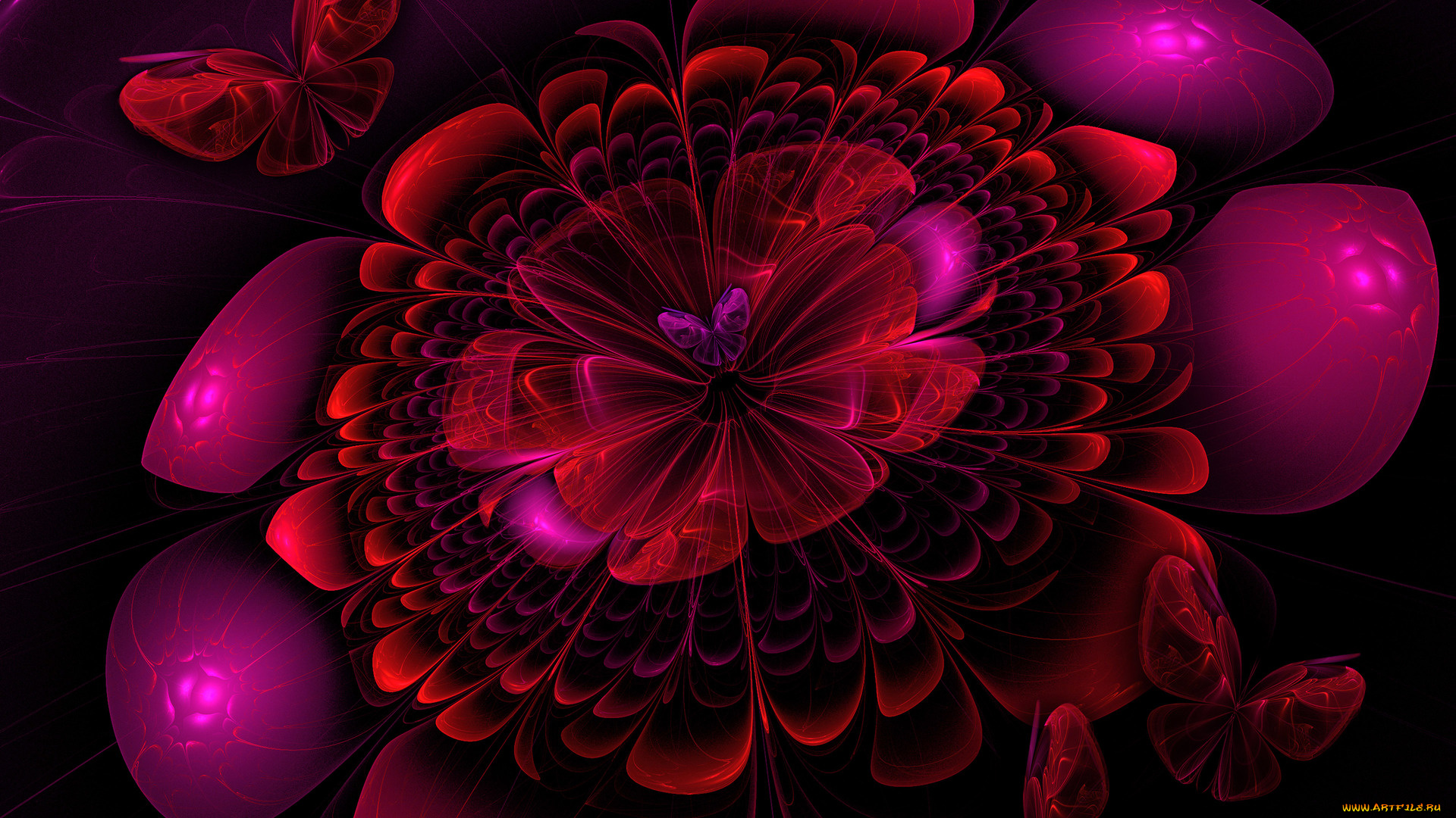 3д, графика, цветы, , flowers, цвета, узор, фон, бабочки