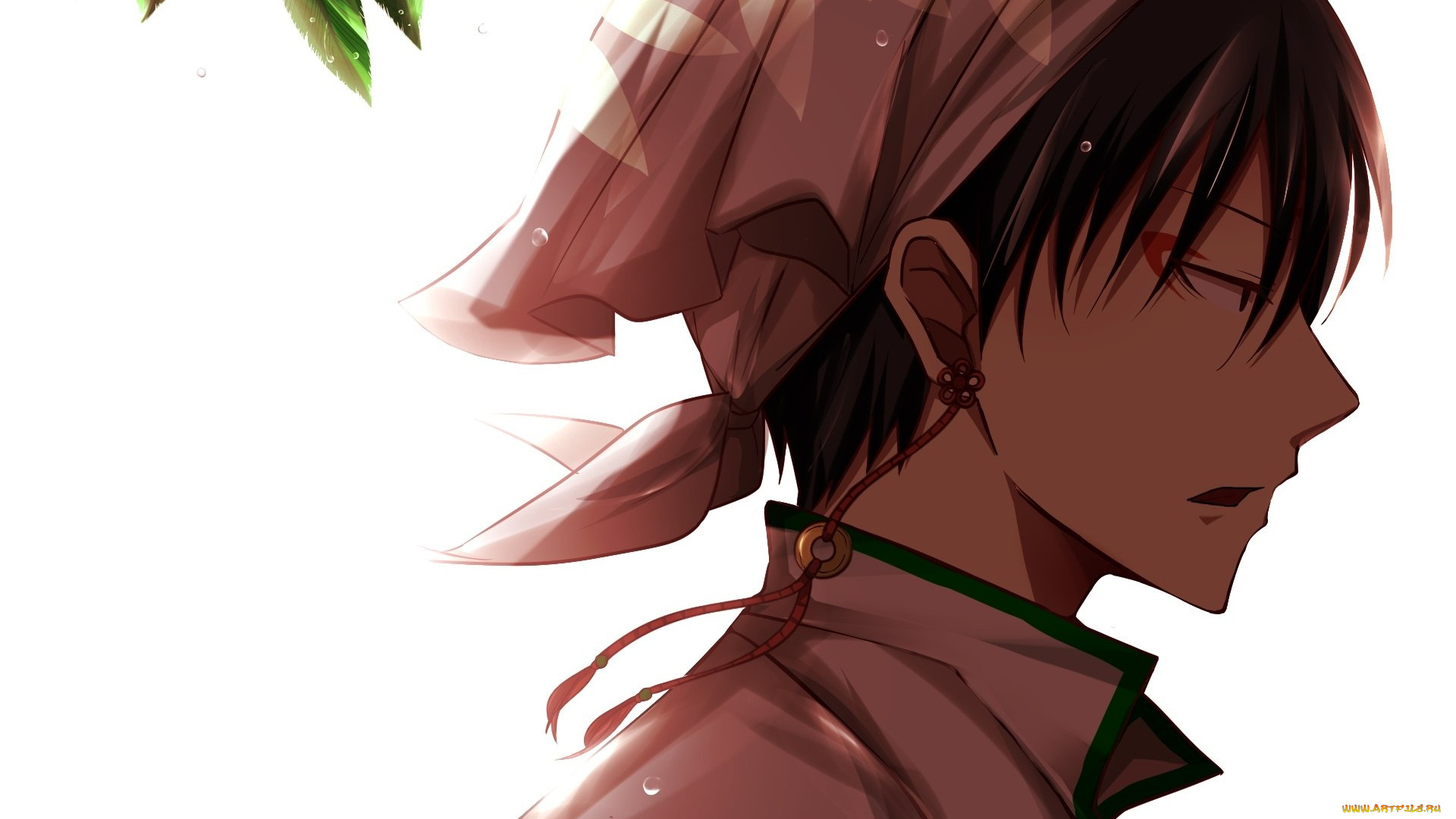 аниме, hoozuki, no, reitetsu, хладнокровный, хозуки, хакутаку