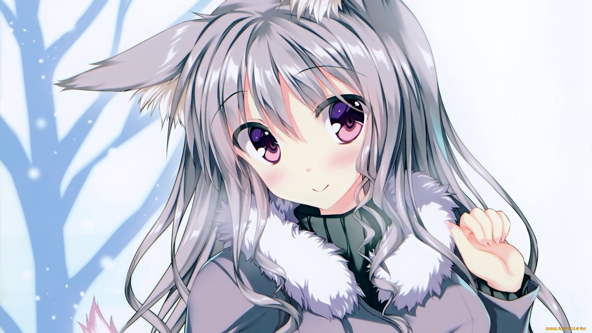 аниме, животные, , существа, ушки, фон, взгляд, девушка