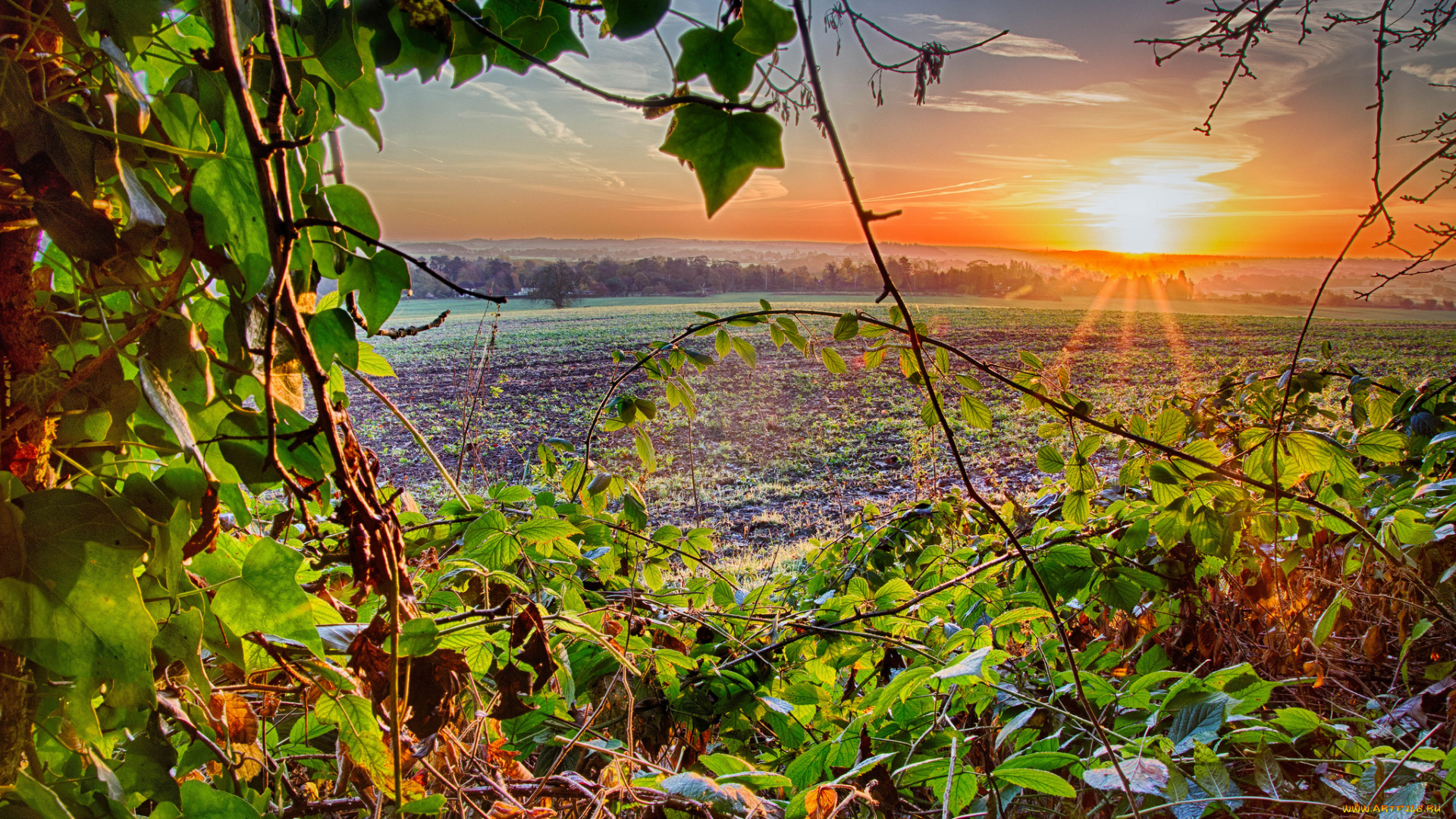 природа, восходы, закаты, рассвет