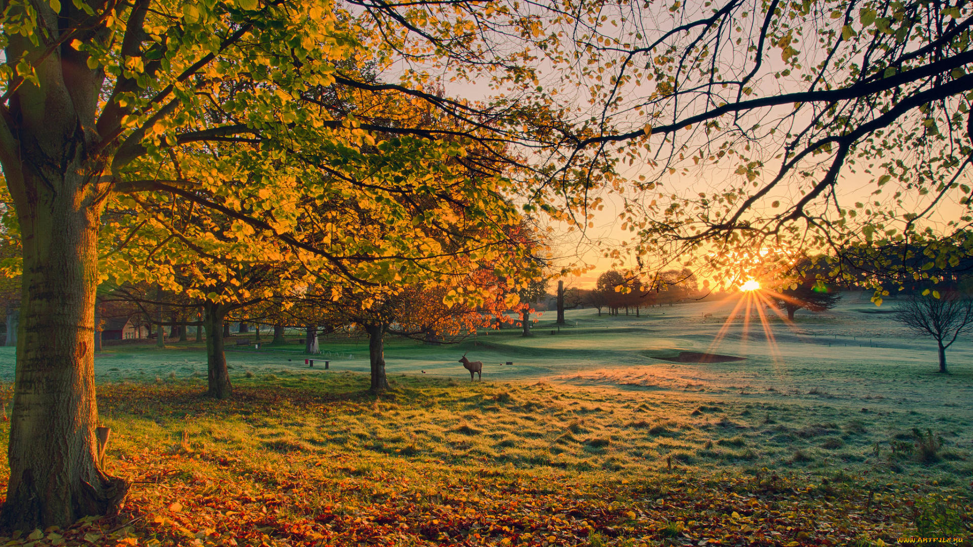 природа, восходы, закаты, рассвет