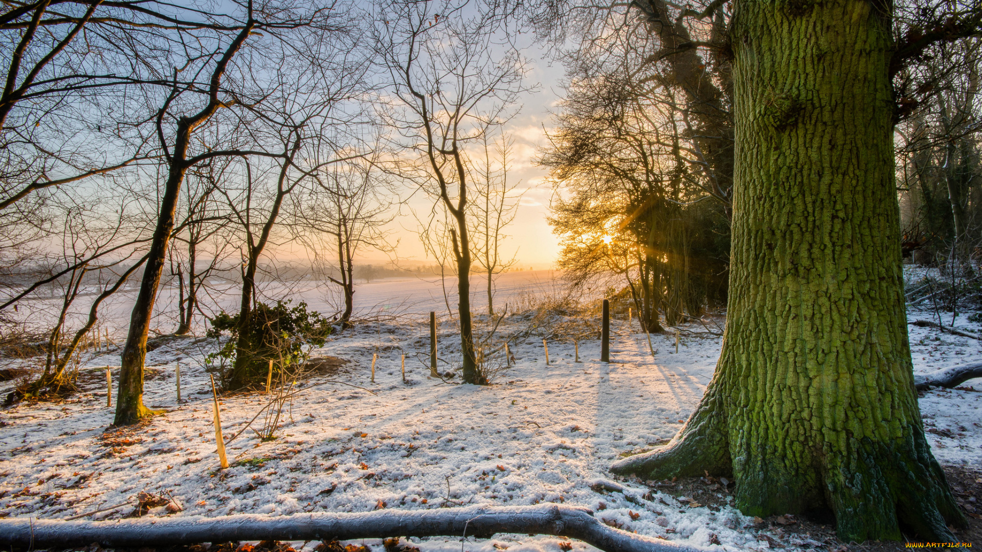 природа, восходы, закаты, рассвет