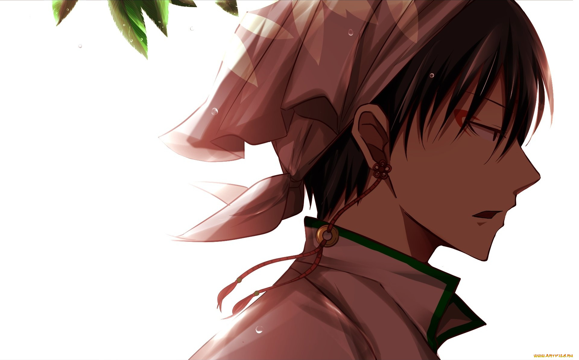 аниме, hoozuki, no, reitetsu, хладнокровный, хозуки, хакутаку