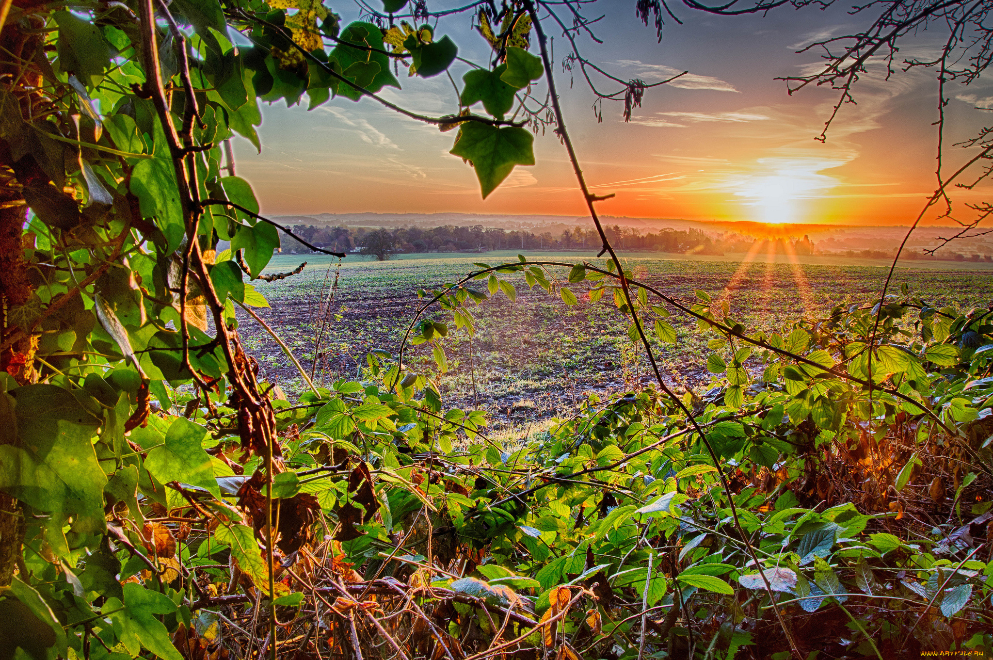 природа, восходы, закаты, рассвет