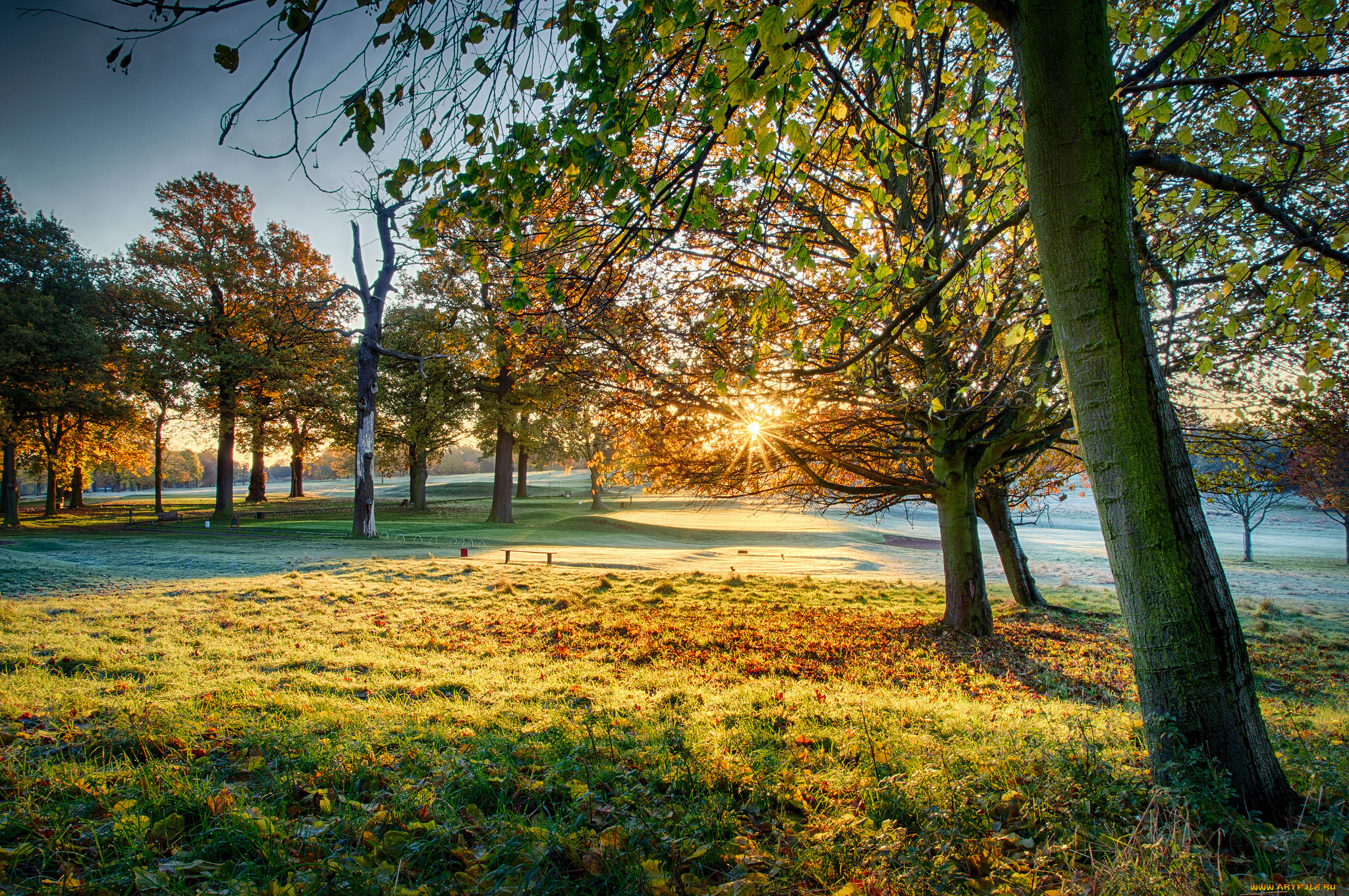 природа, восходы, закаты, рассвет