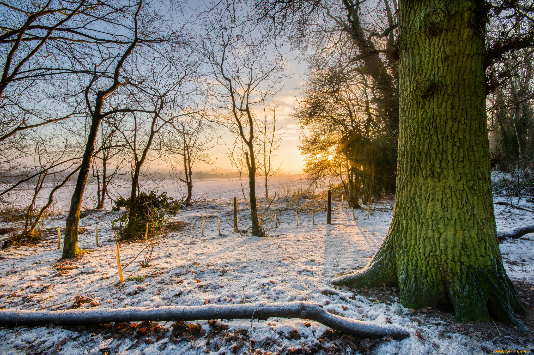 природа, восходы, закаты, рассвет