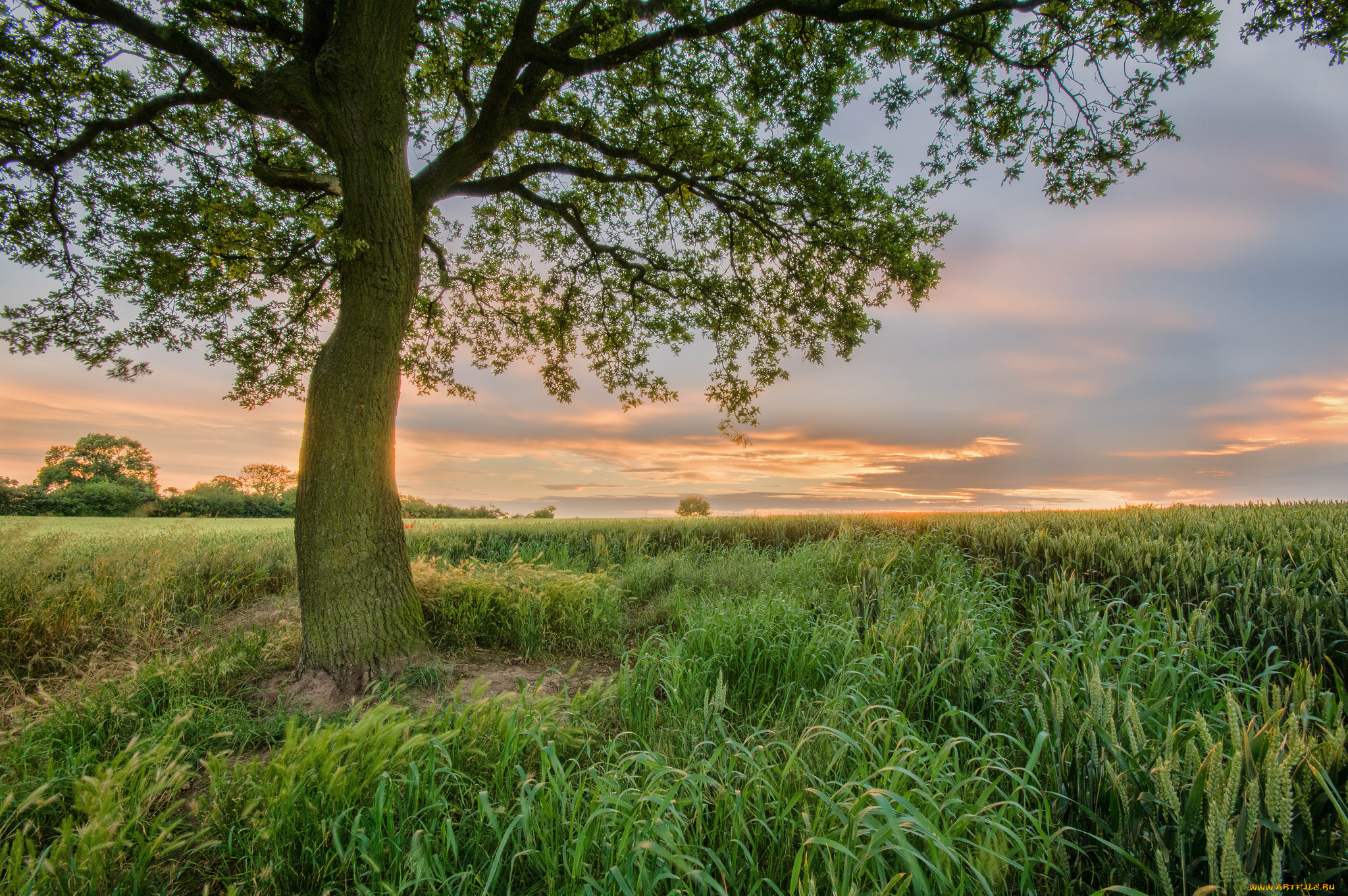 природа, восходы, закаты, рассвет