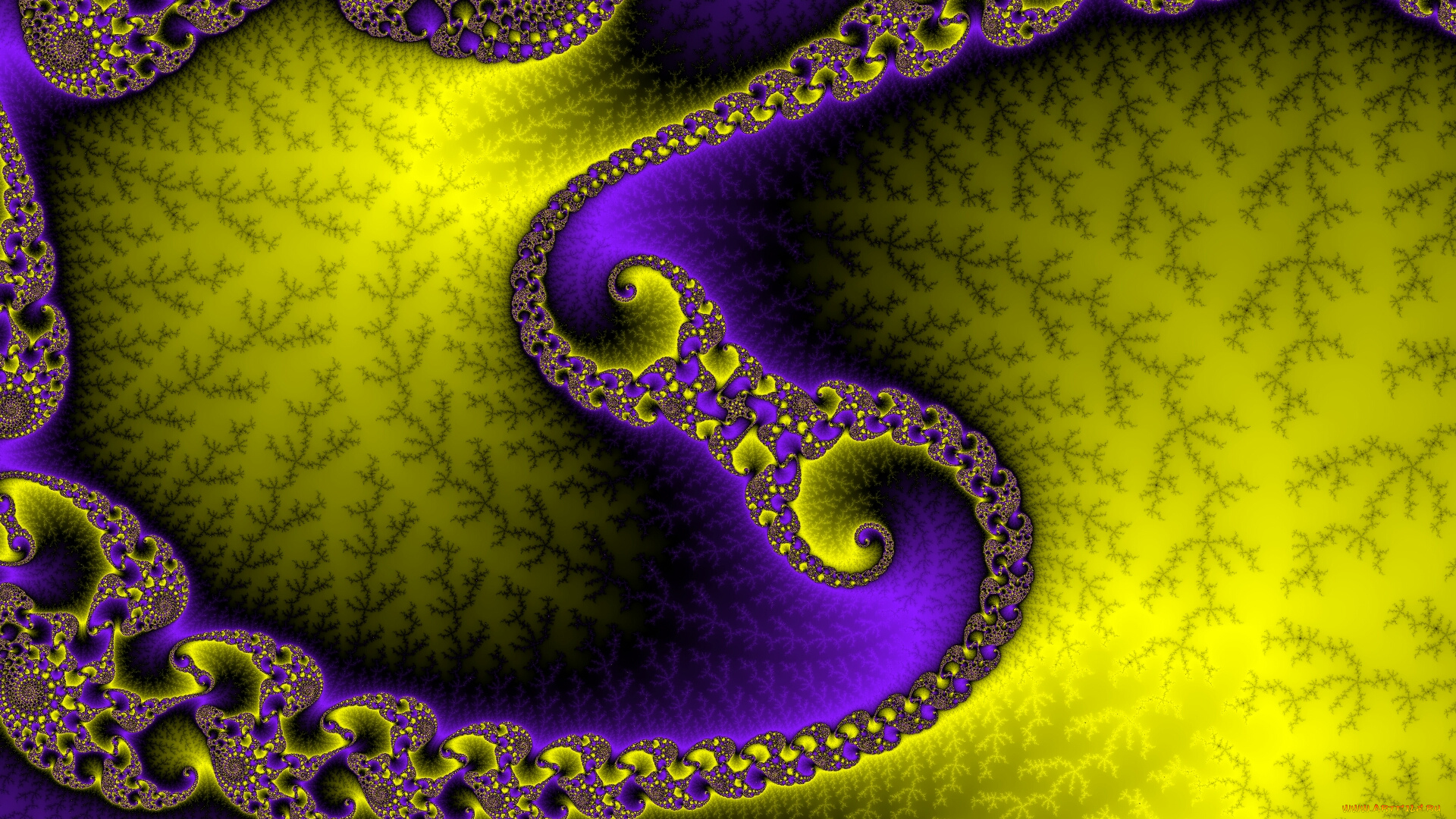 3д, графика, фракталы, , fractal, цвета, фон, узор