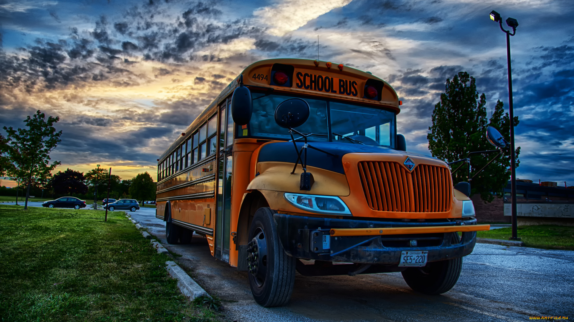 автомобили, автобусы, транспорт