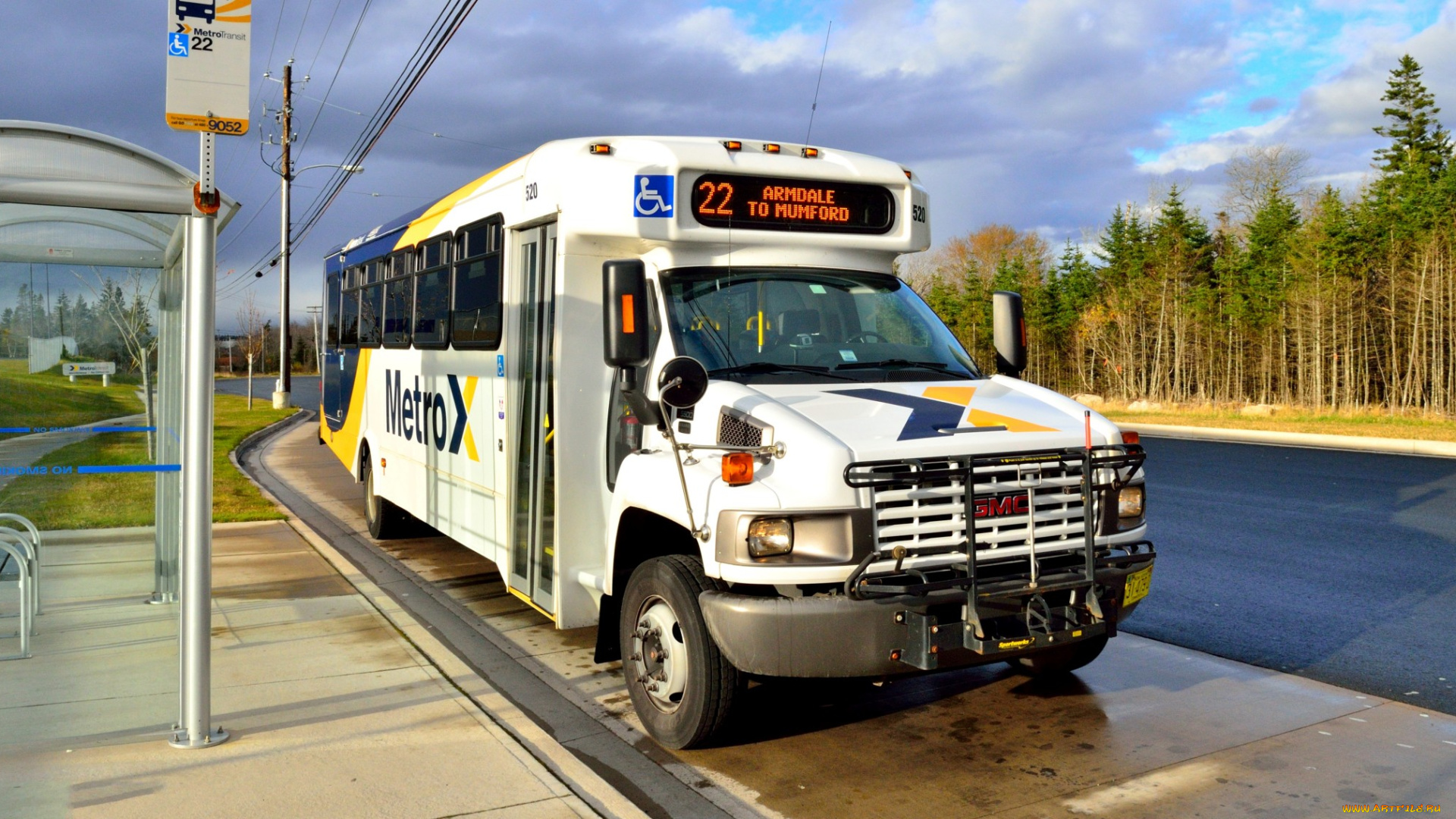 автомобили, автобусы, транспорт