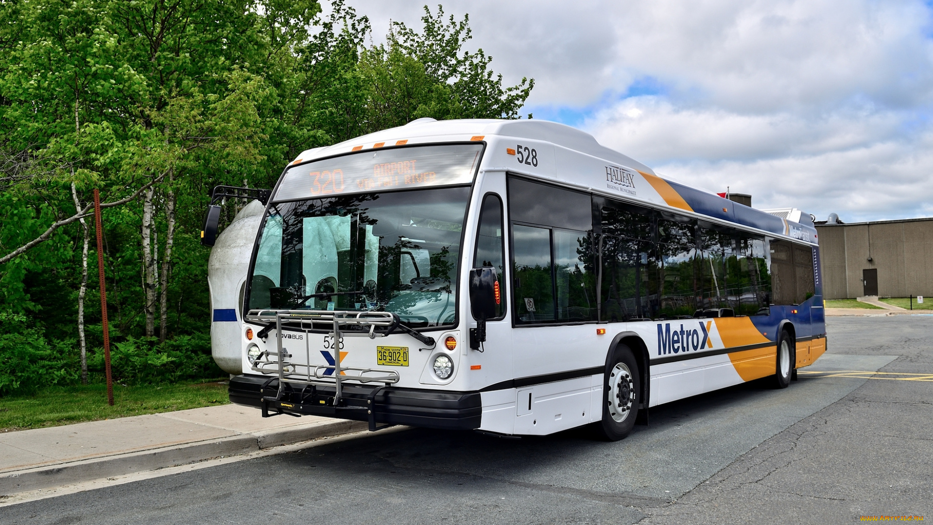 автомобили, автобусы, транспорт