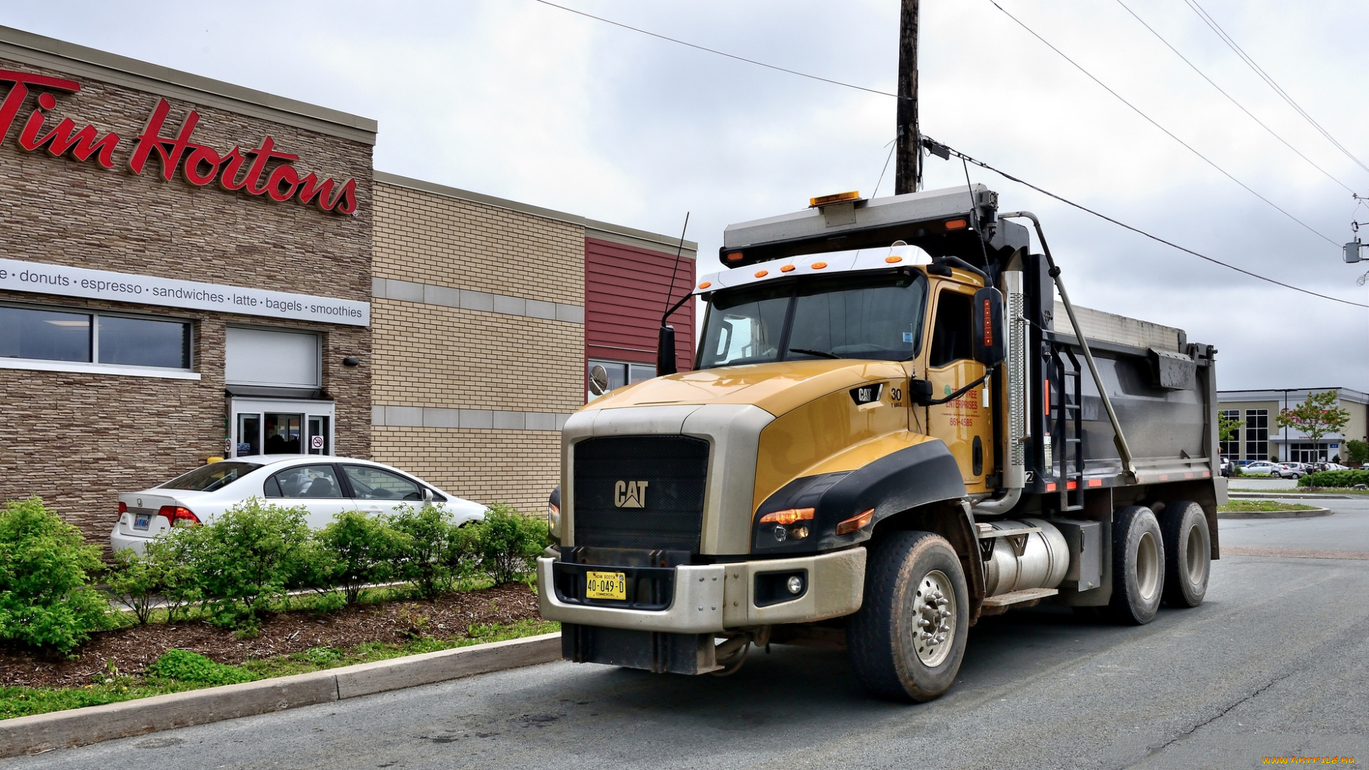 автомобили, cat, trucks, грузовик