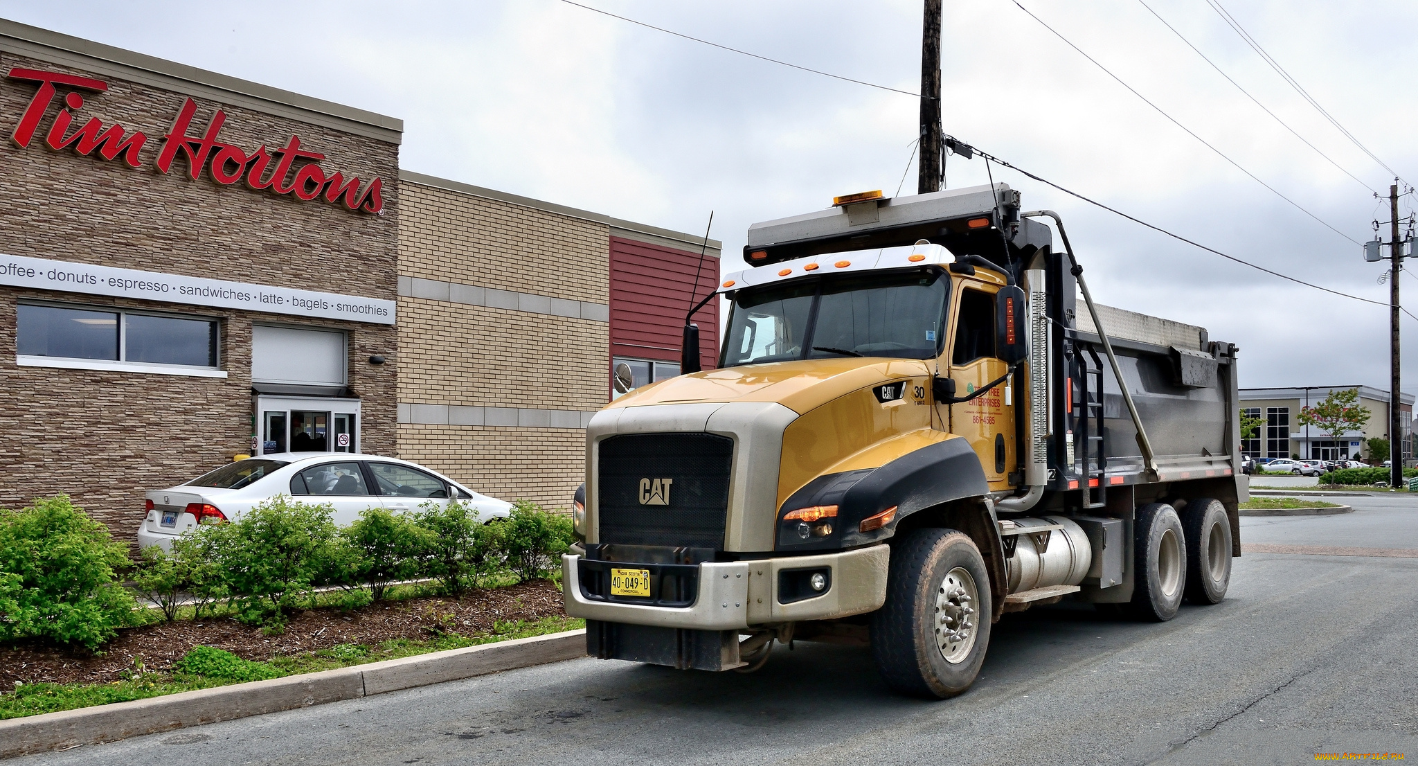 автомобили, cat, trucks, грузовик