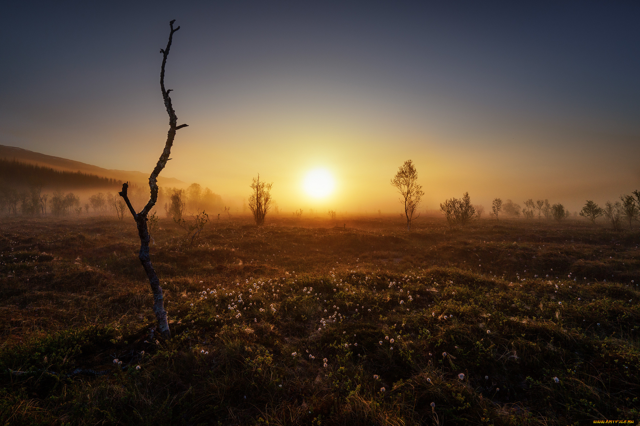 природа, восходы, закаты, рассвет
