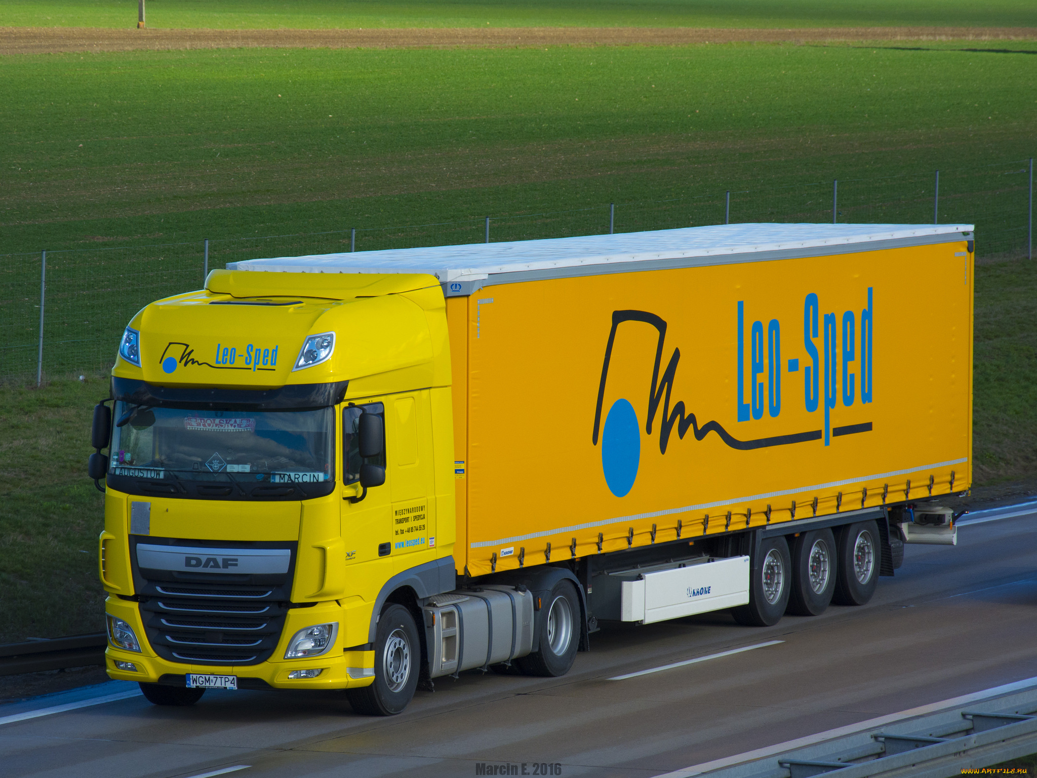 daf, xf, 116, автомобили, daf, грузовик