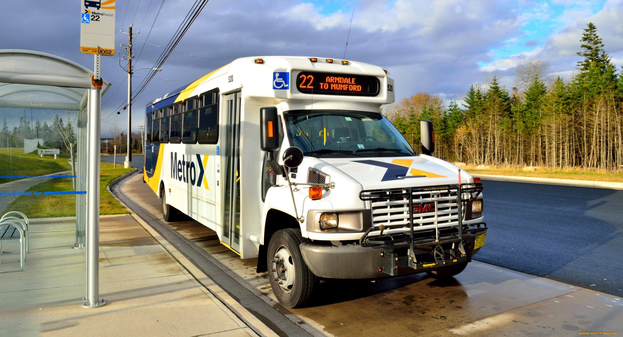 автомобили, автобусы, транспорт