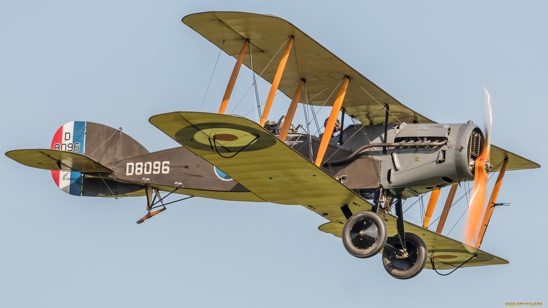 bristol, f2b, fighter, авиация, боевые, самолёты, аэроплан