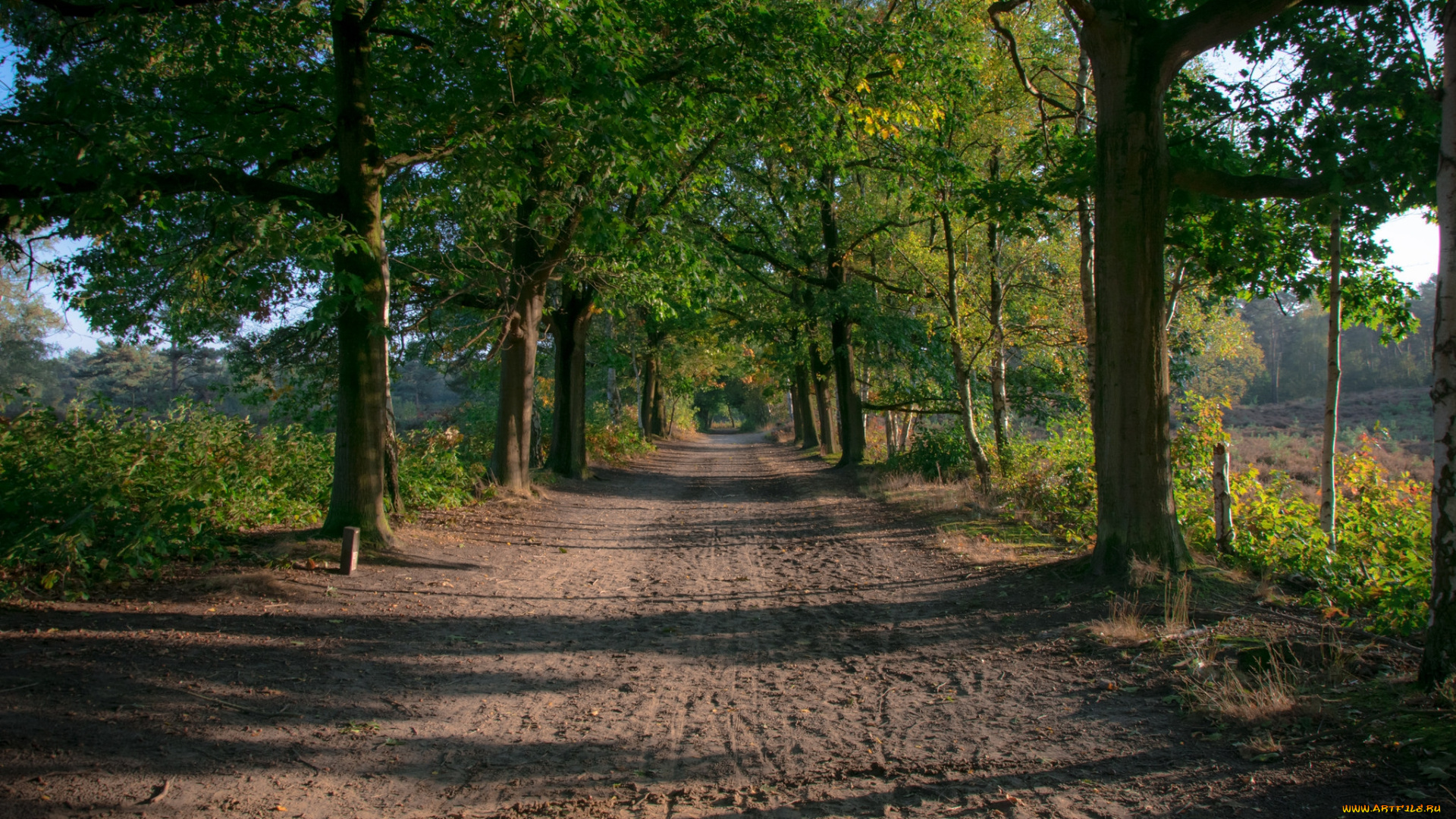 природа, дороги, простор