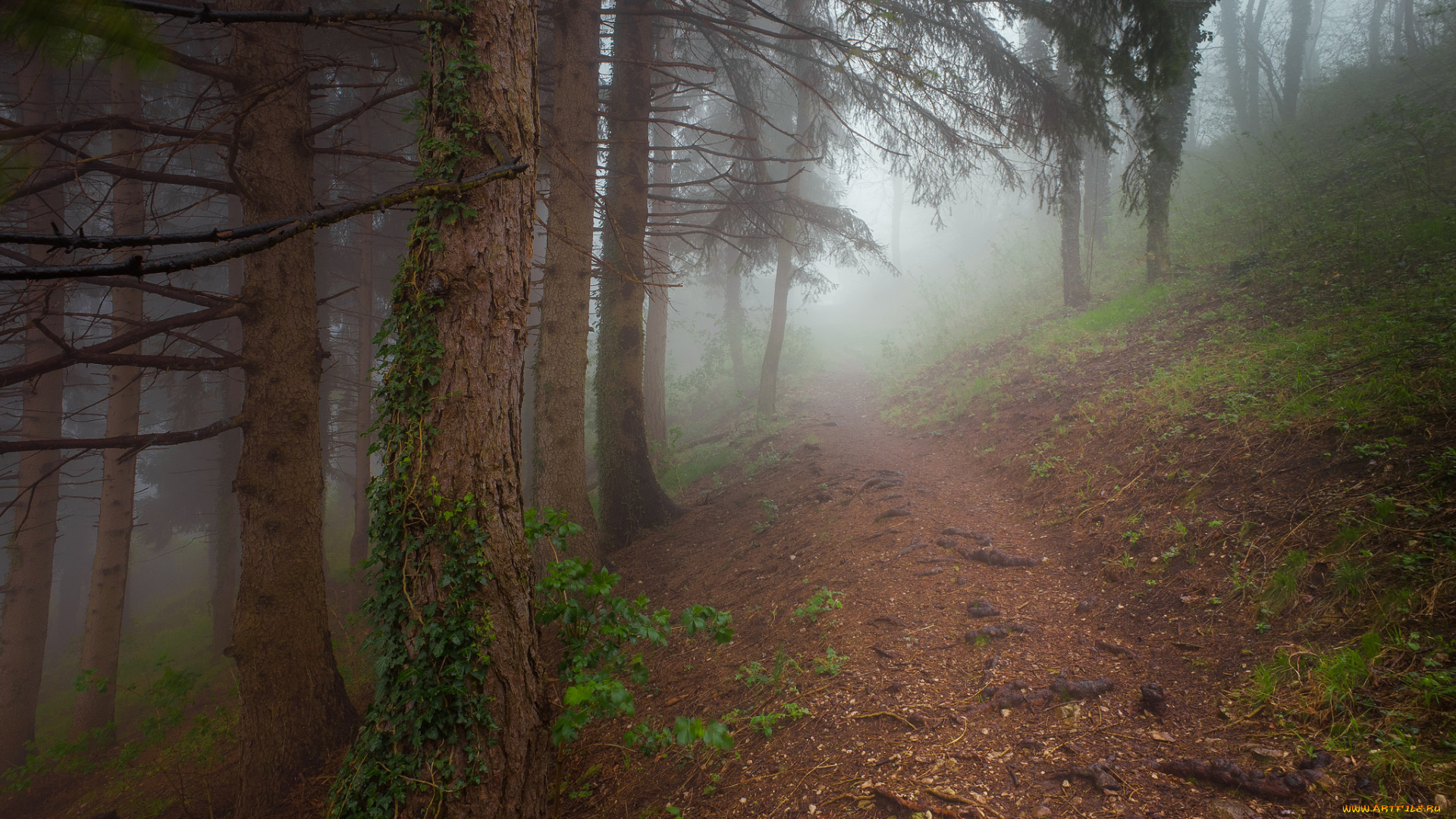 природа, дороги, простор