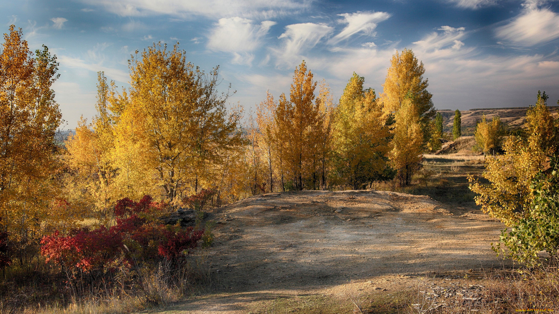 природа, дороги, простор