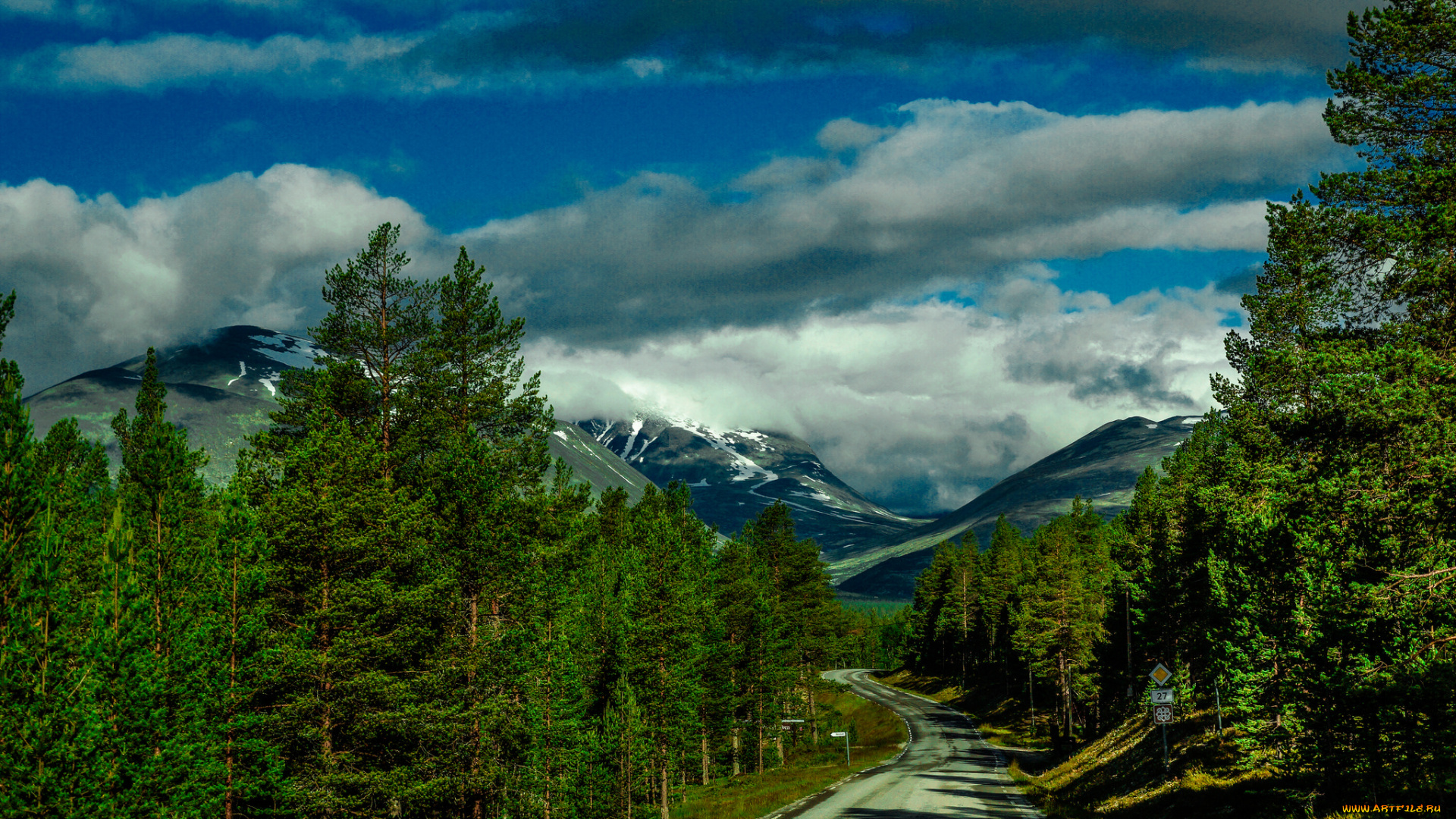 природа, дороги, простор