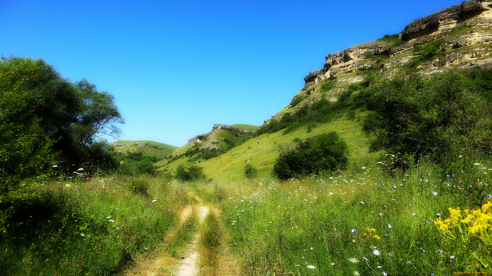 природа, дороги, простор