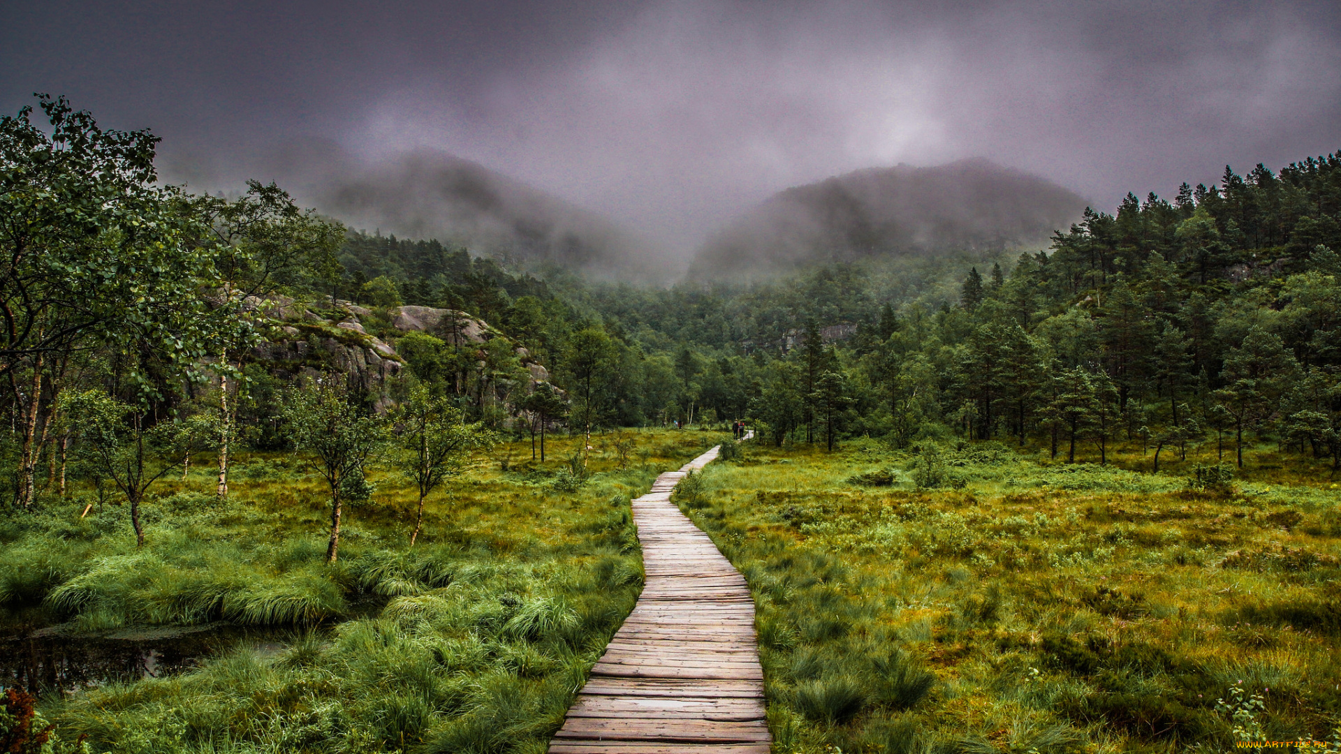 природа, дороги, простор