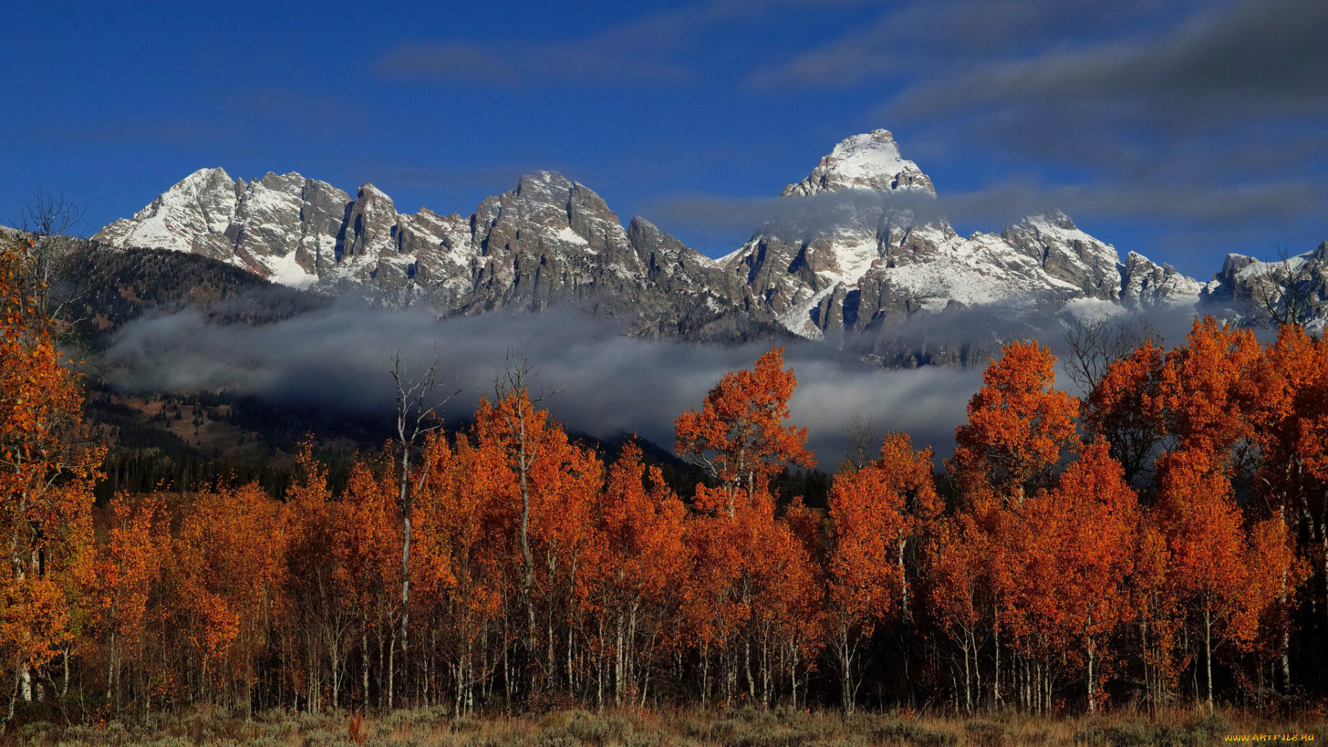 природа, горы, простор