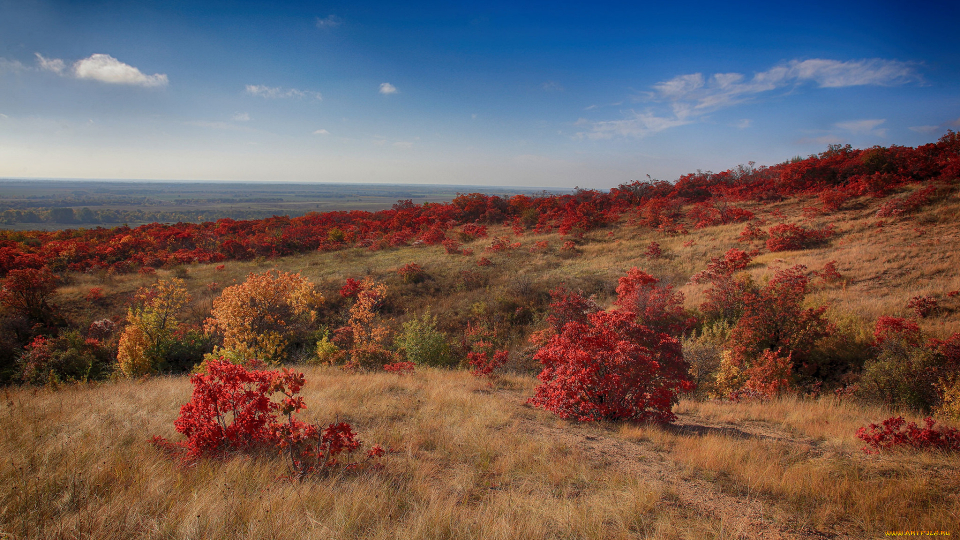 природа, пейзажи, простор